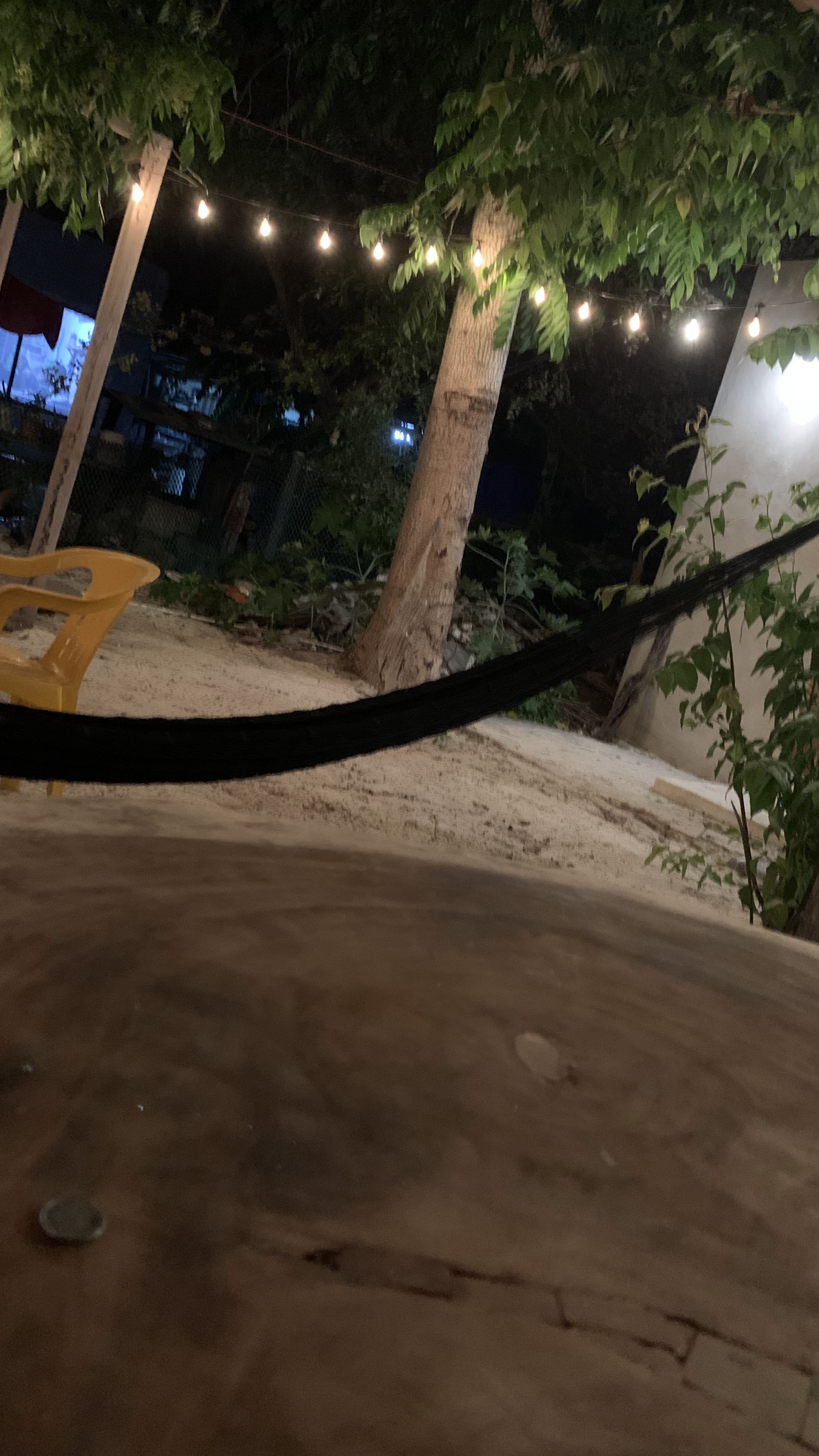 Cachis Grill image 1