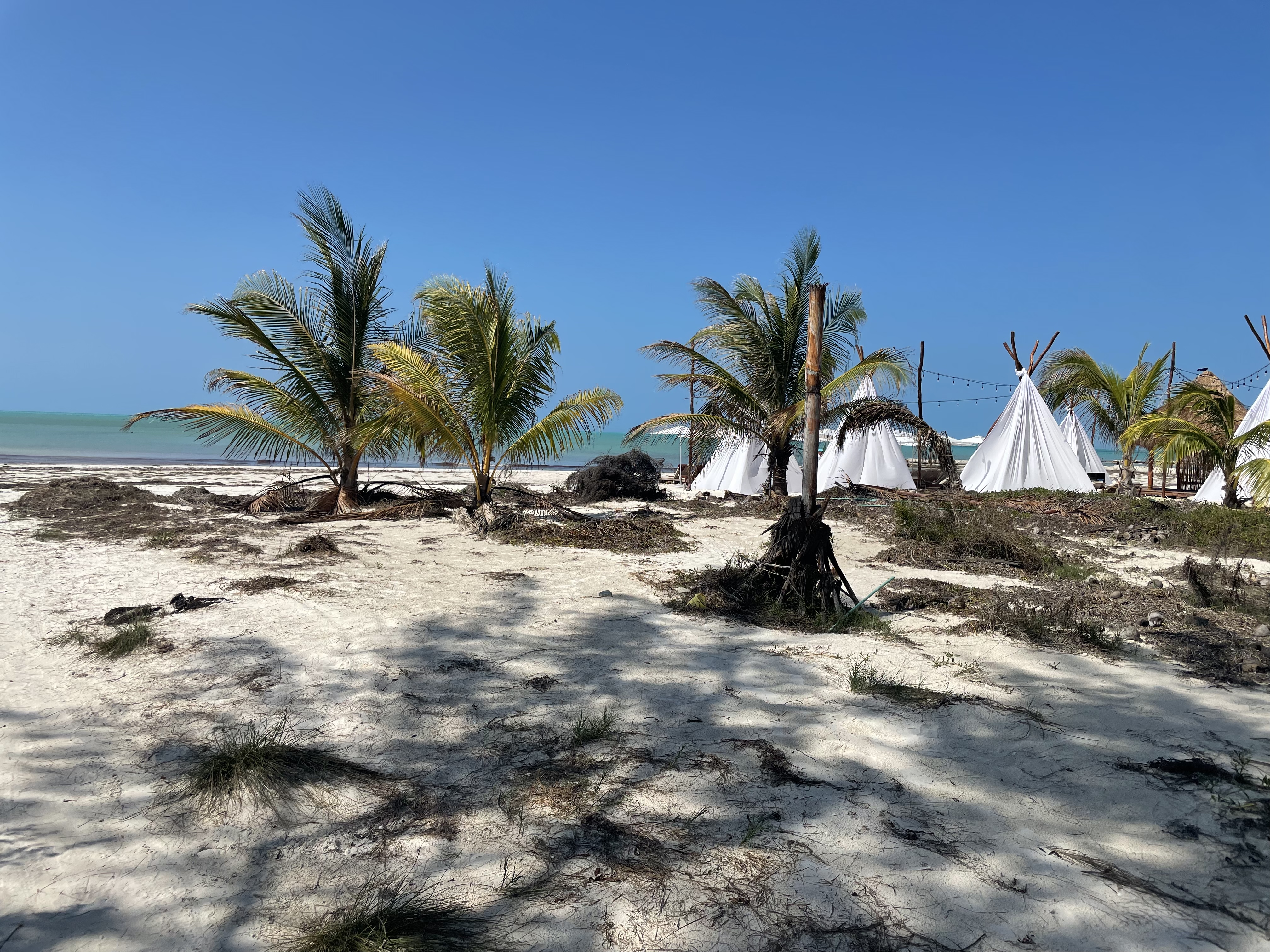 Fresco - Bar & Grill image 9