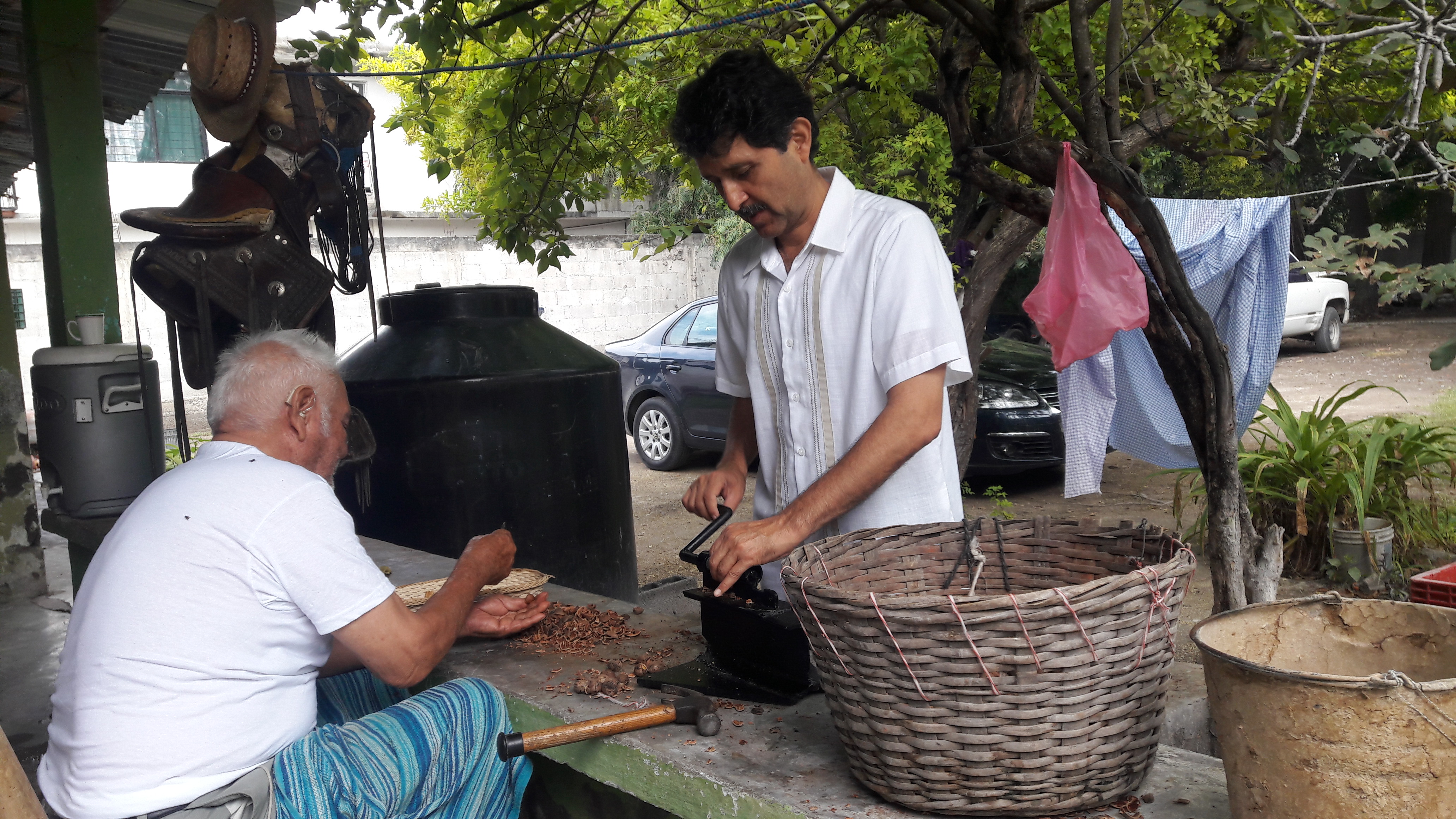 Restaurante “El Taray” image 5
