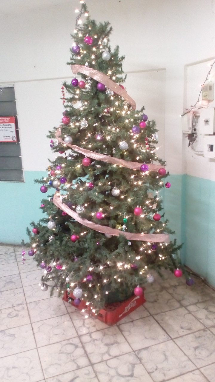 Restaurante “El Taray” image 10