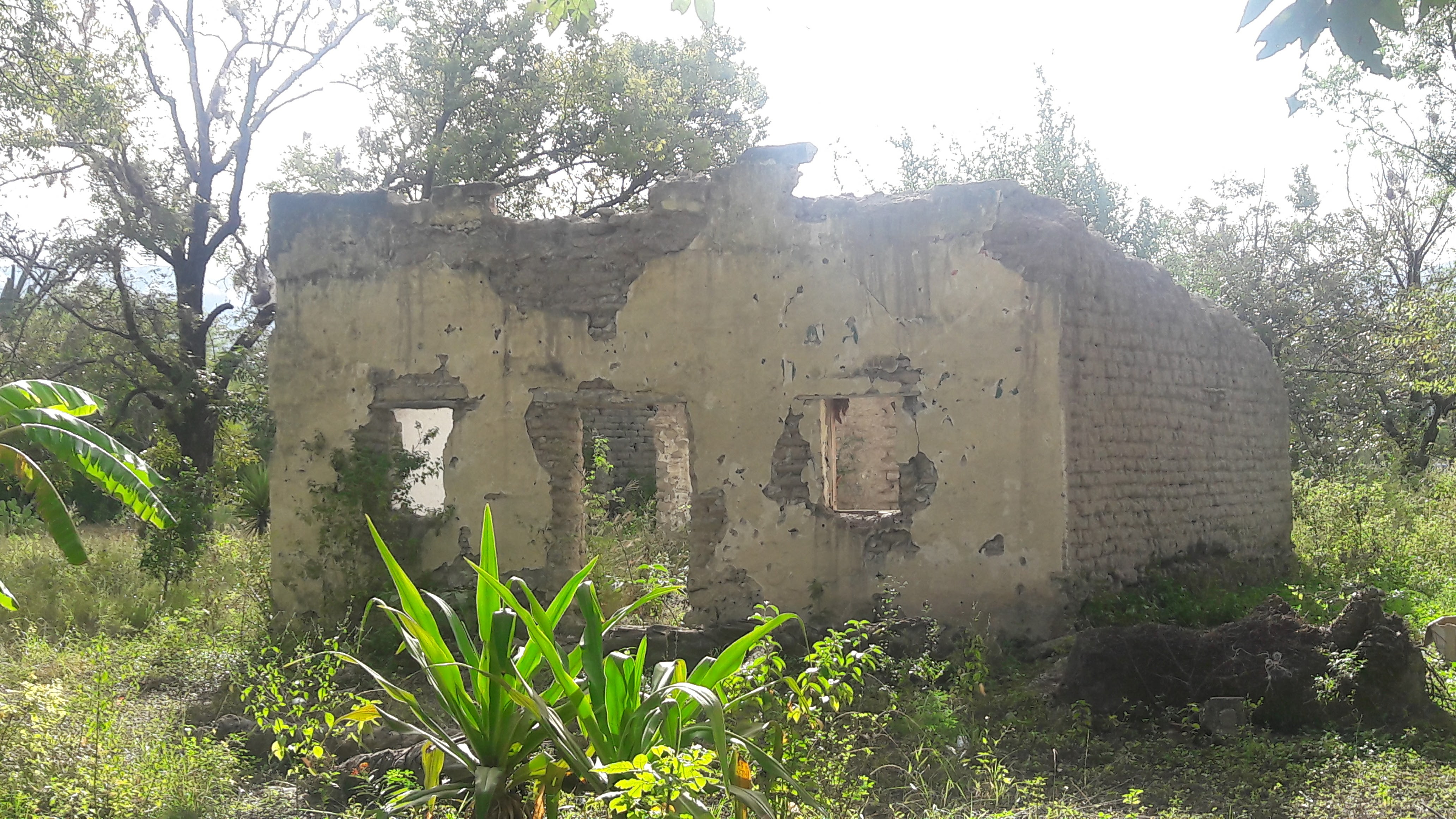 Carnitas Y Gorditas Baez image 4