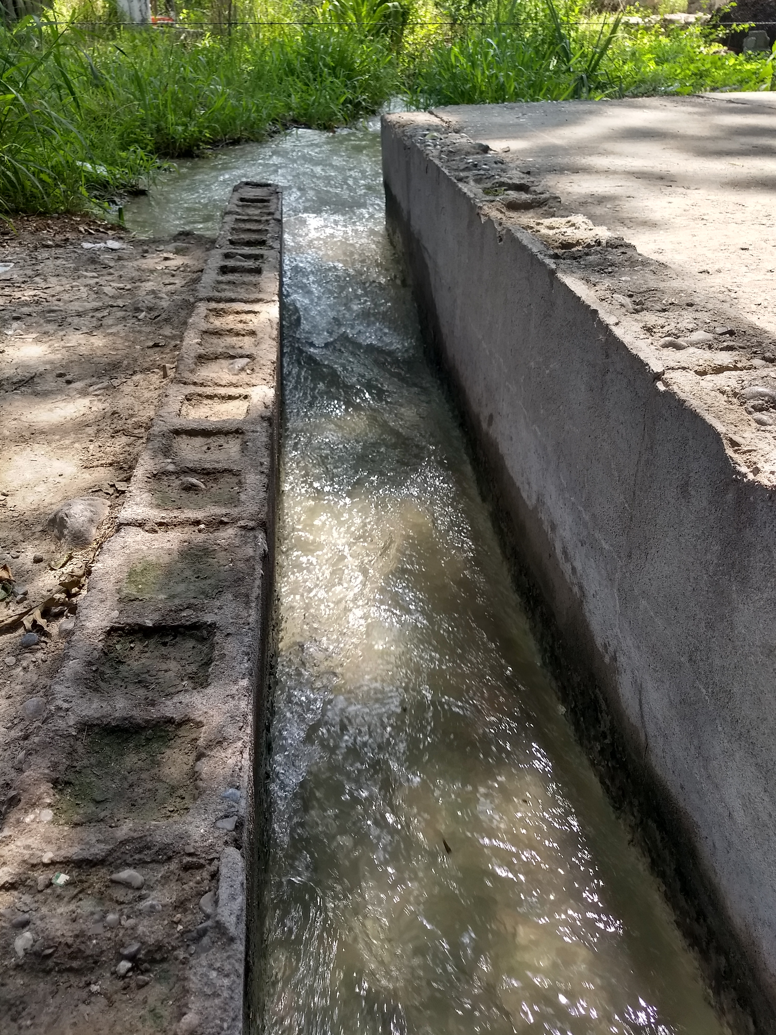 Carnitas Y Gorditas Baez image 7