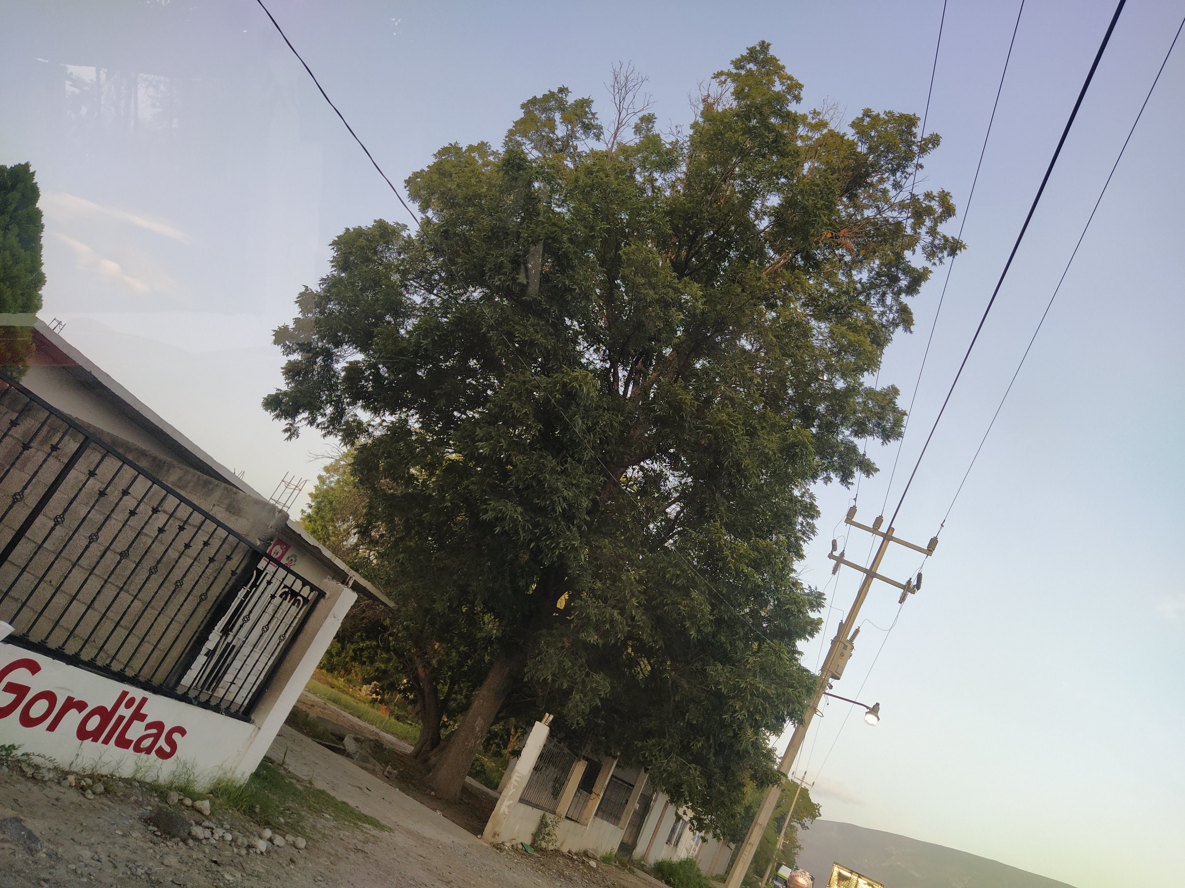 Carnitas Y Gorditas Baez image 9