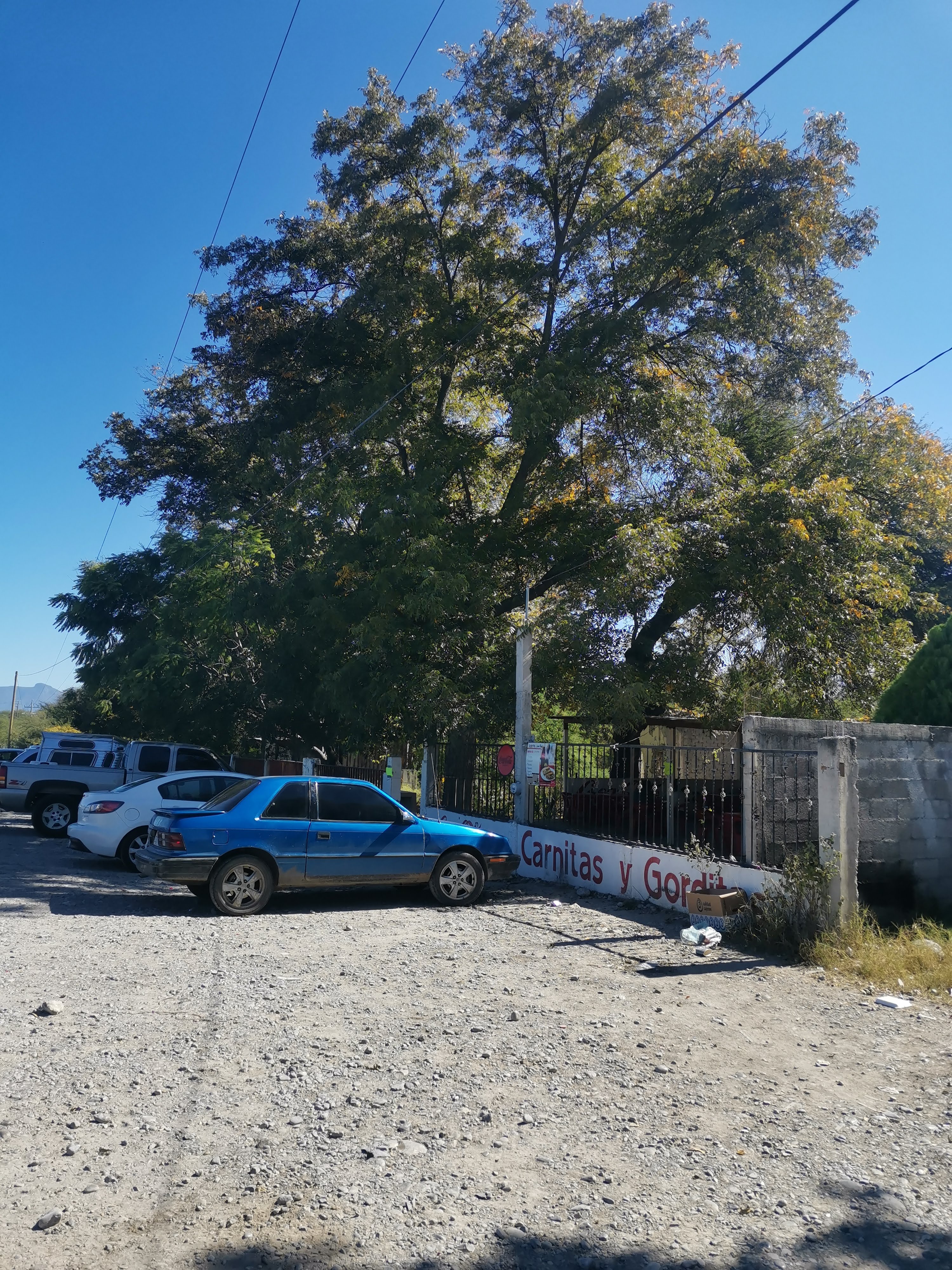 Carnitas Y Gorditas Baez image 10