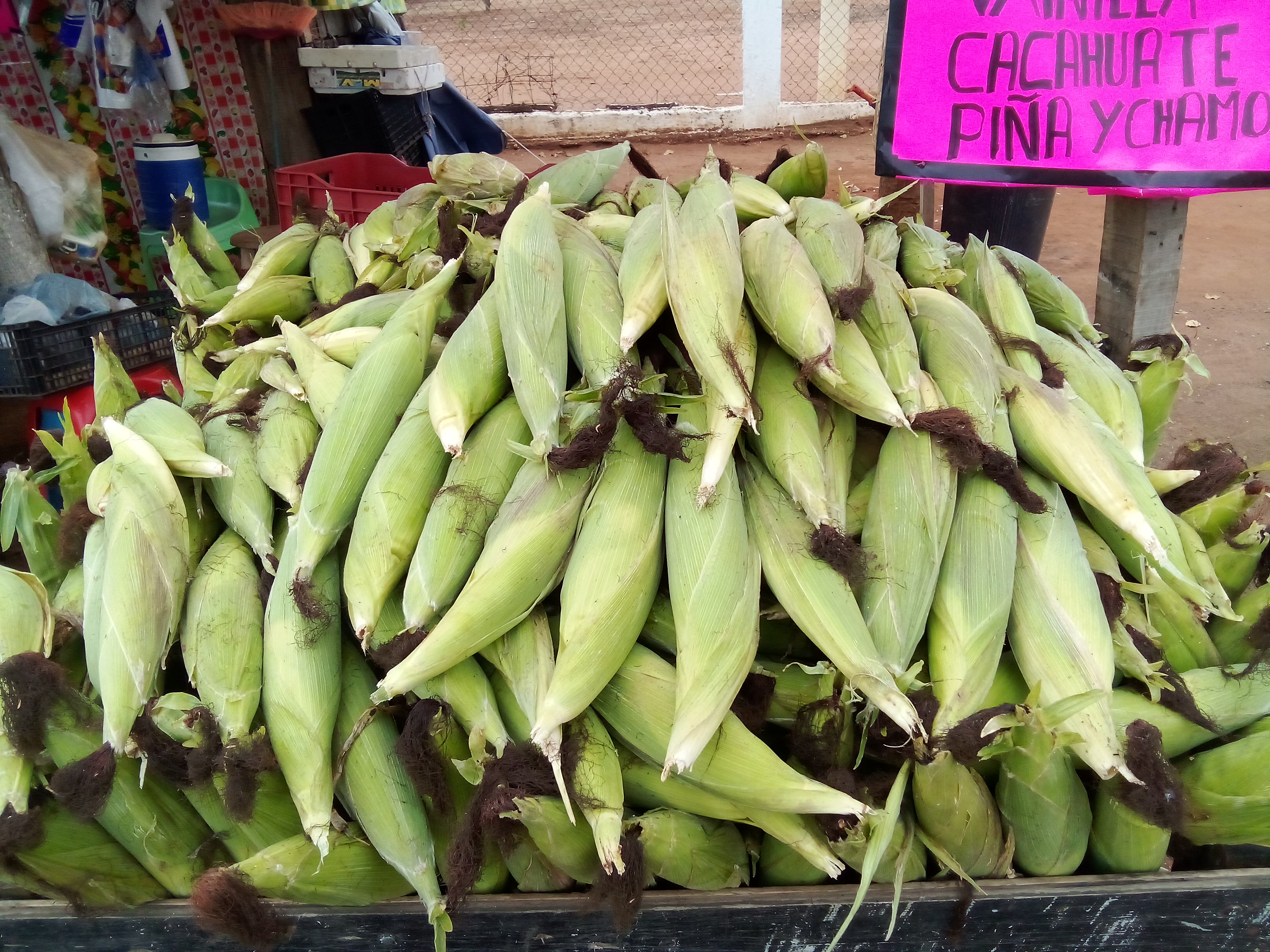 EL Compa Marce Elotes Asados image 2