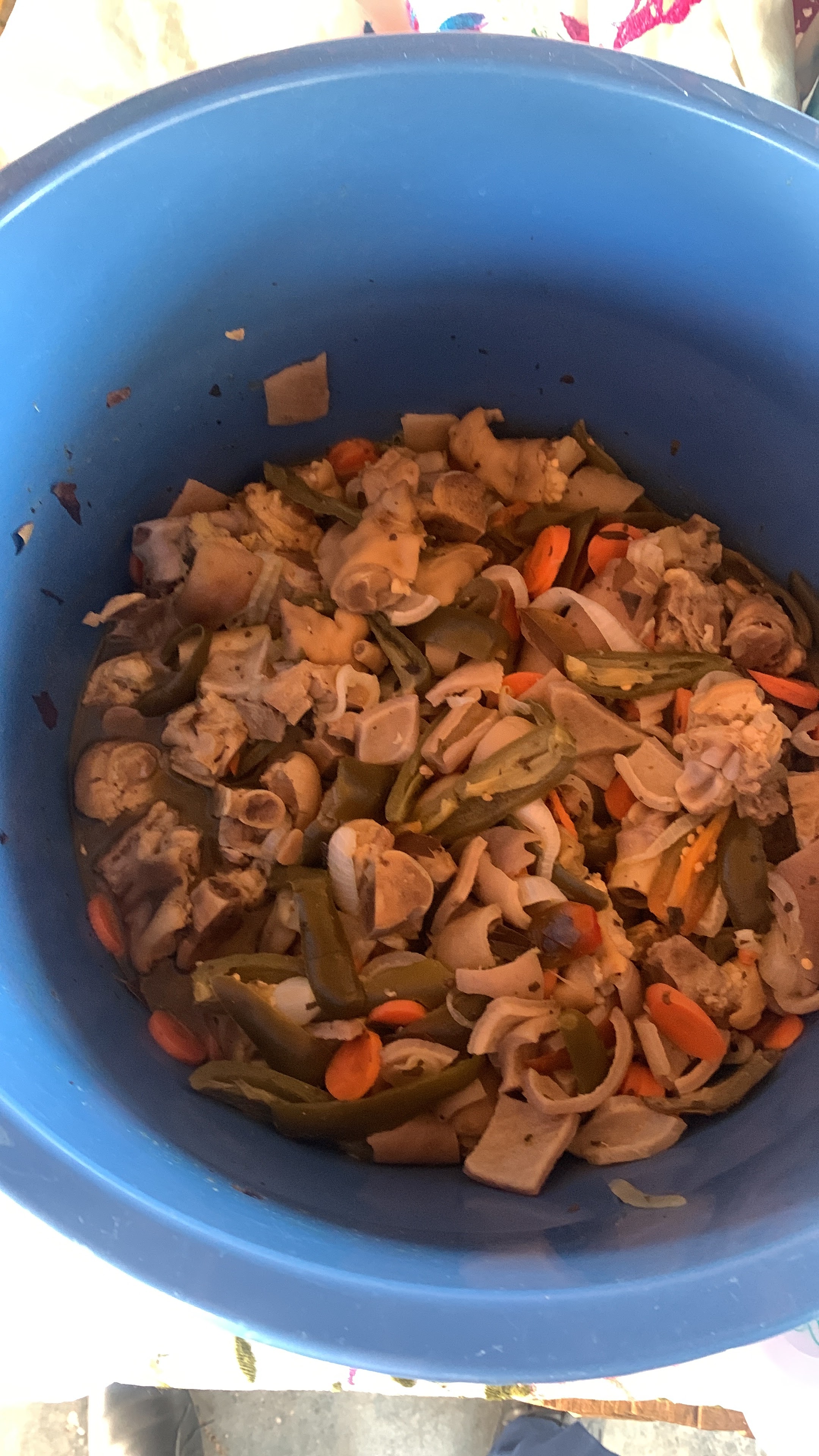 Restaurant & Pollos asados el kiosko de Ixtagapan image 8