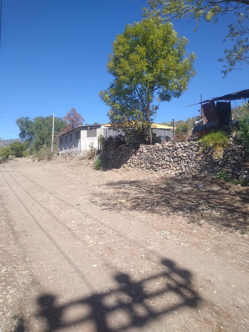 Plan B Restaurante image 9