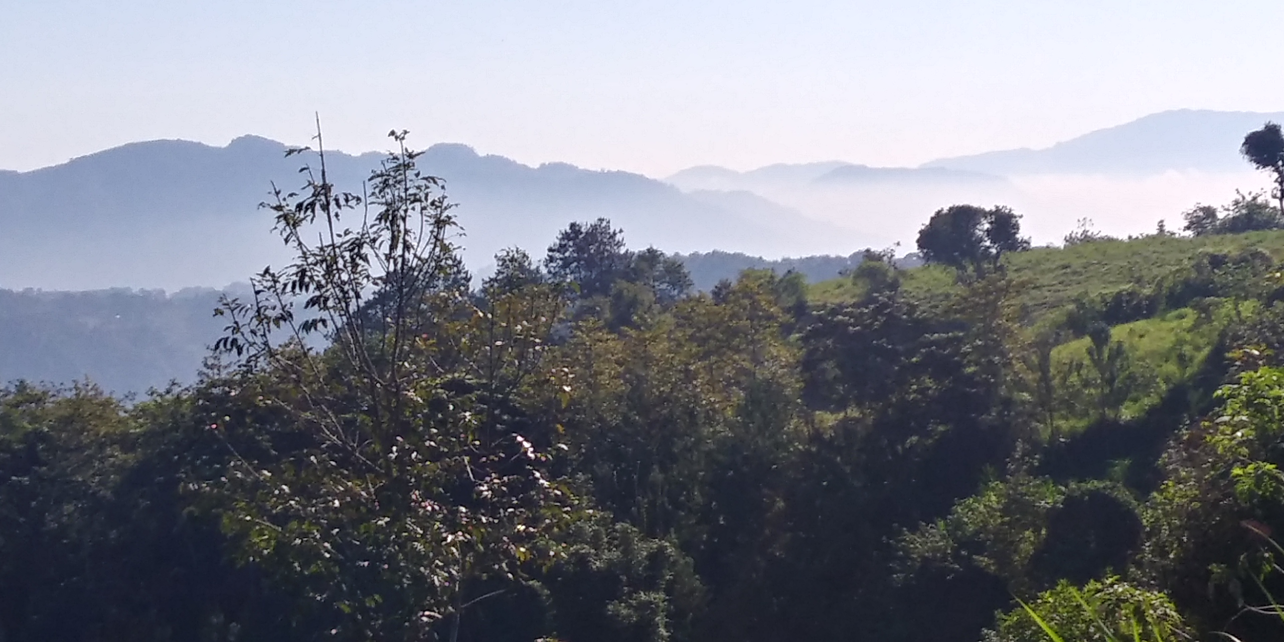 La Desviación del Sabor image 4