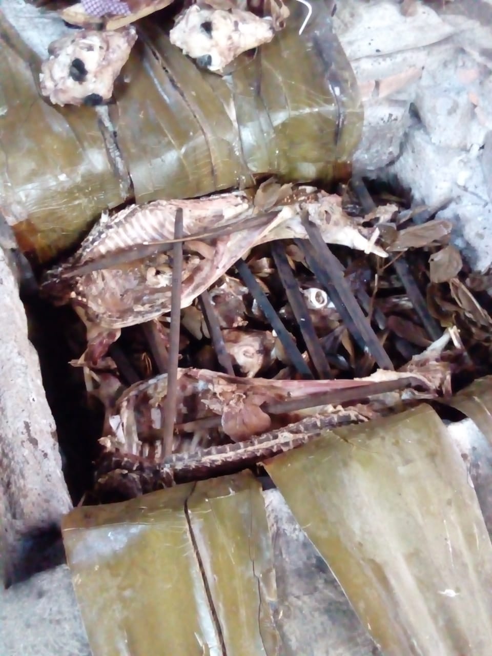 Barbacoa de Borrego "Don Toño" image 6