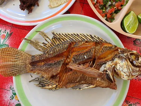 Mojarras Doña Seve image 1