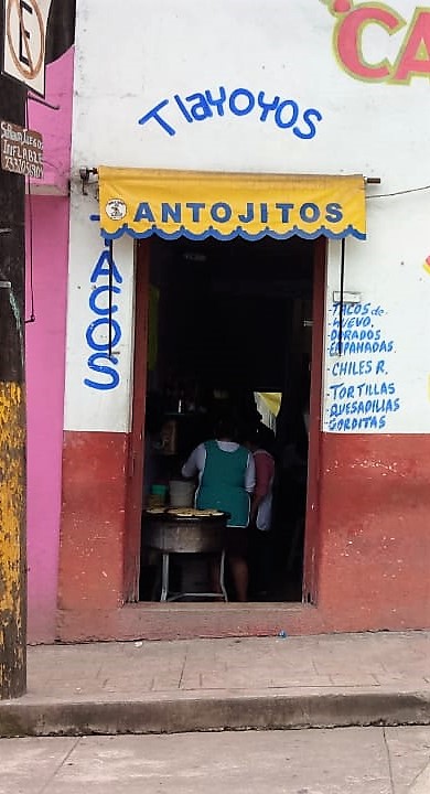 Antojitos "Meche" image 5