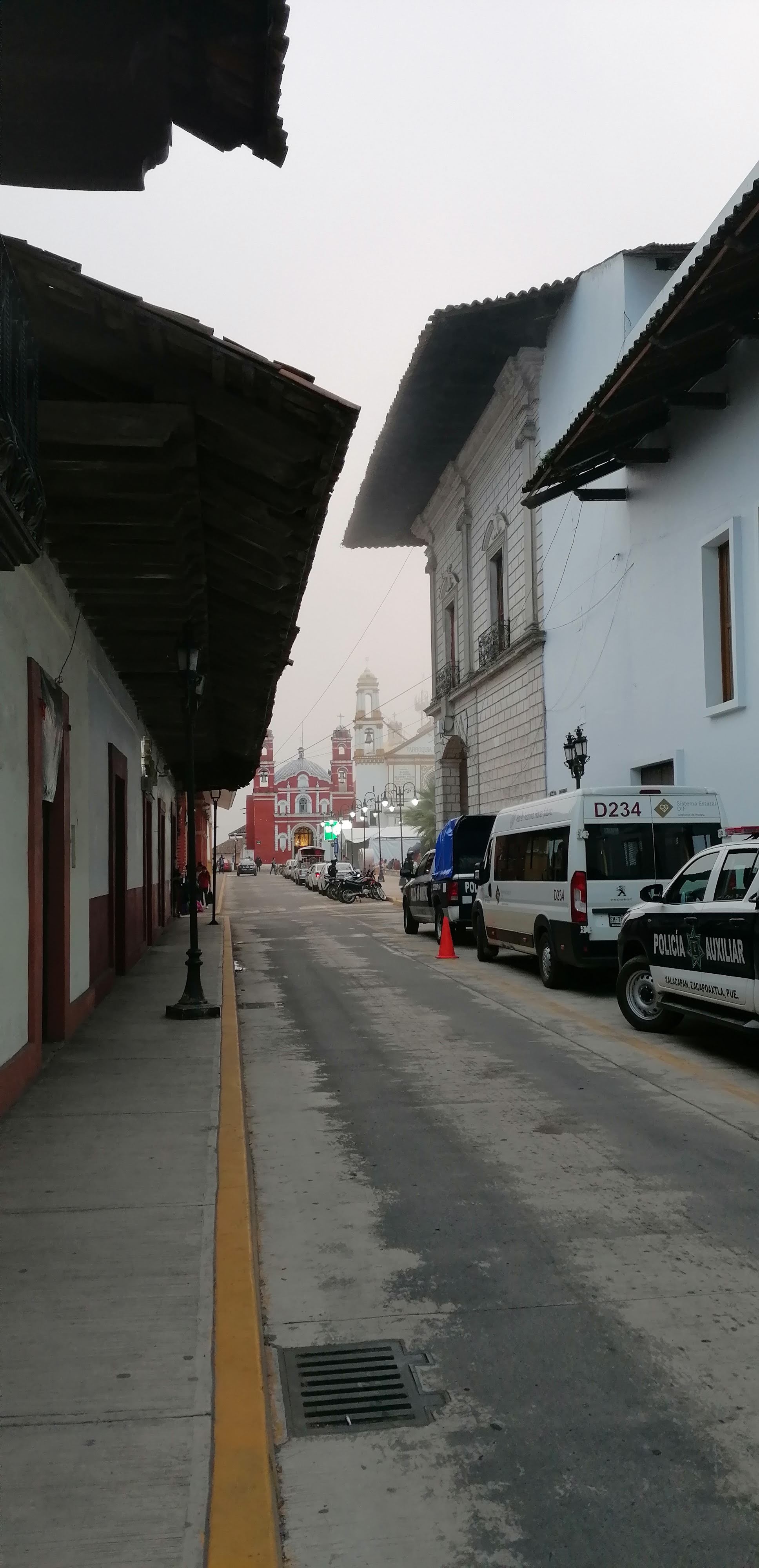 Frogs Pizzas & coffe image 2