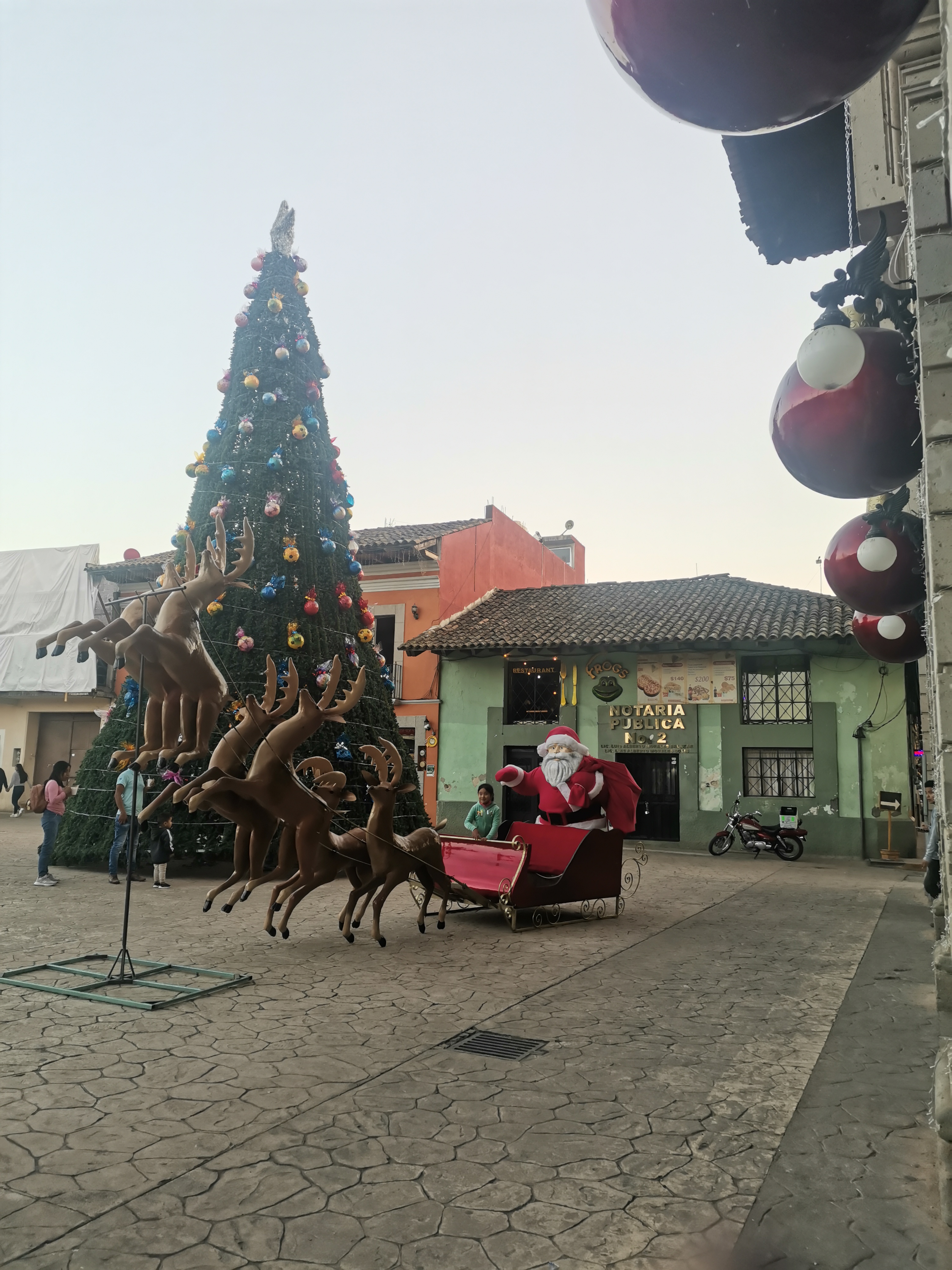 Frogs Pizzas & coffe image 4