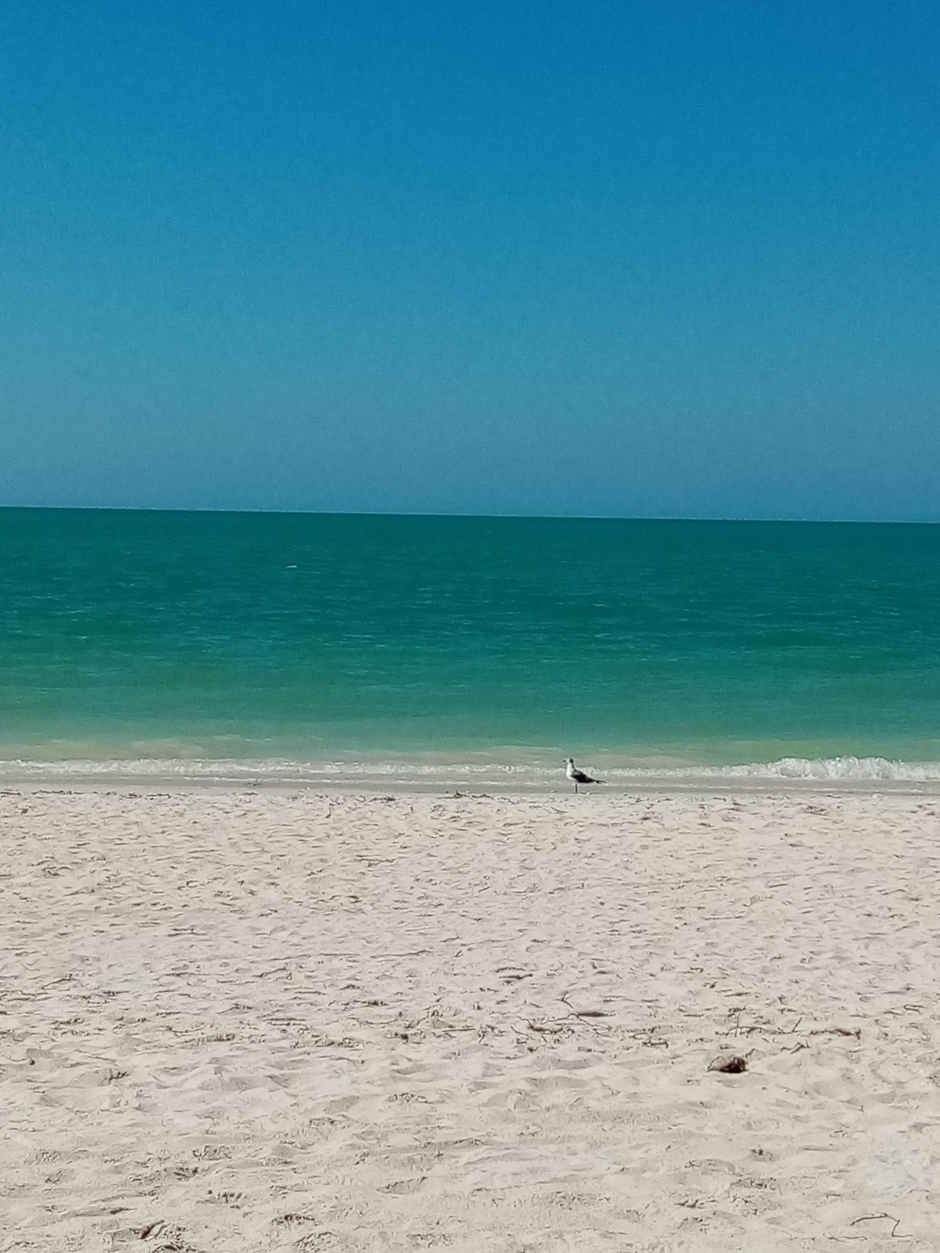 Restaurante La Playita image 9