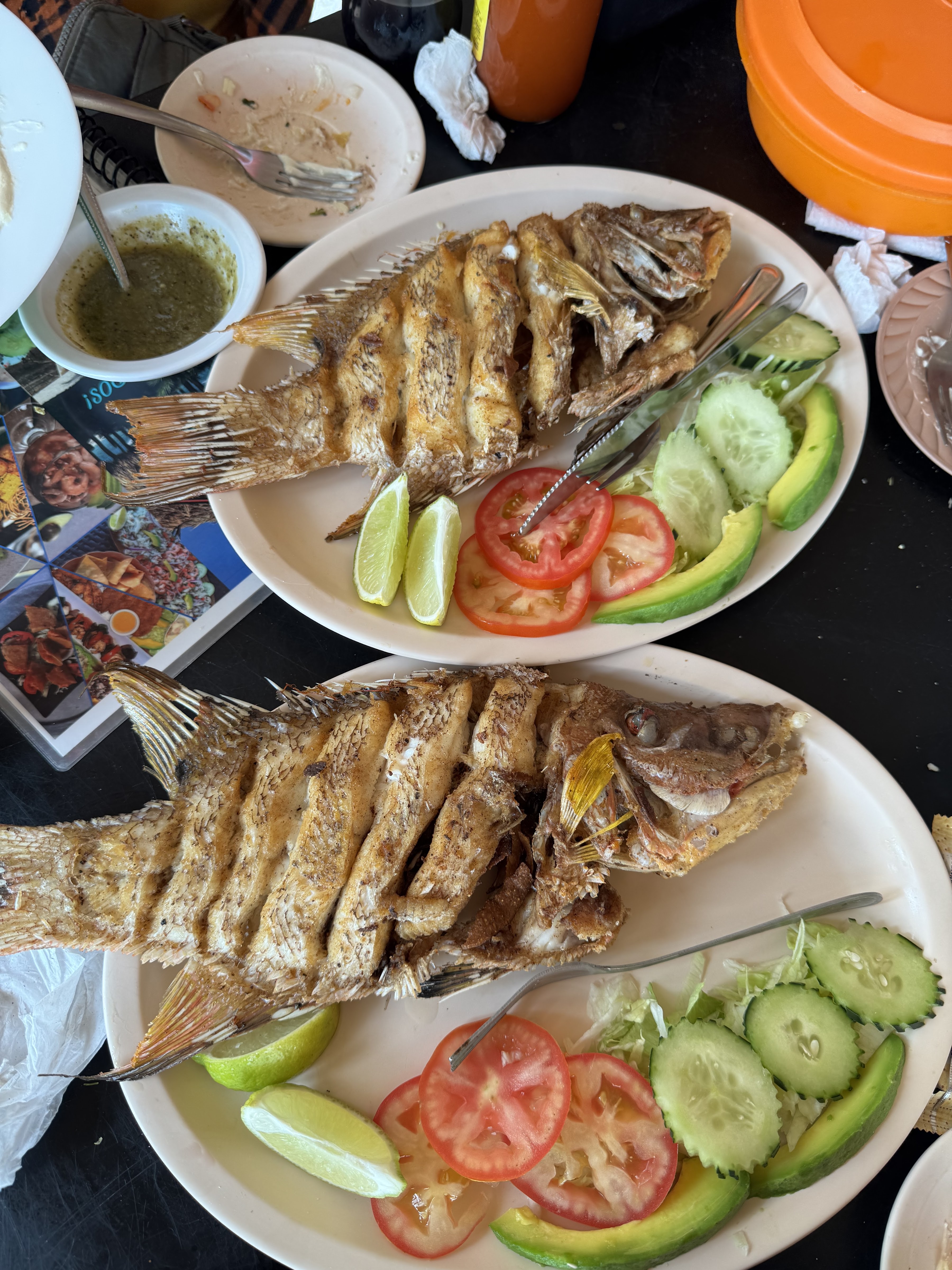 La Ramada de la tía candi image 3