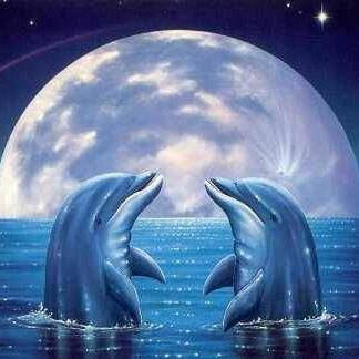 Cocina "Doña Manue" image 2