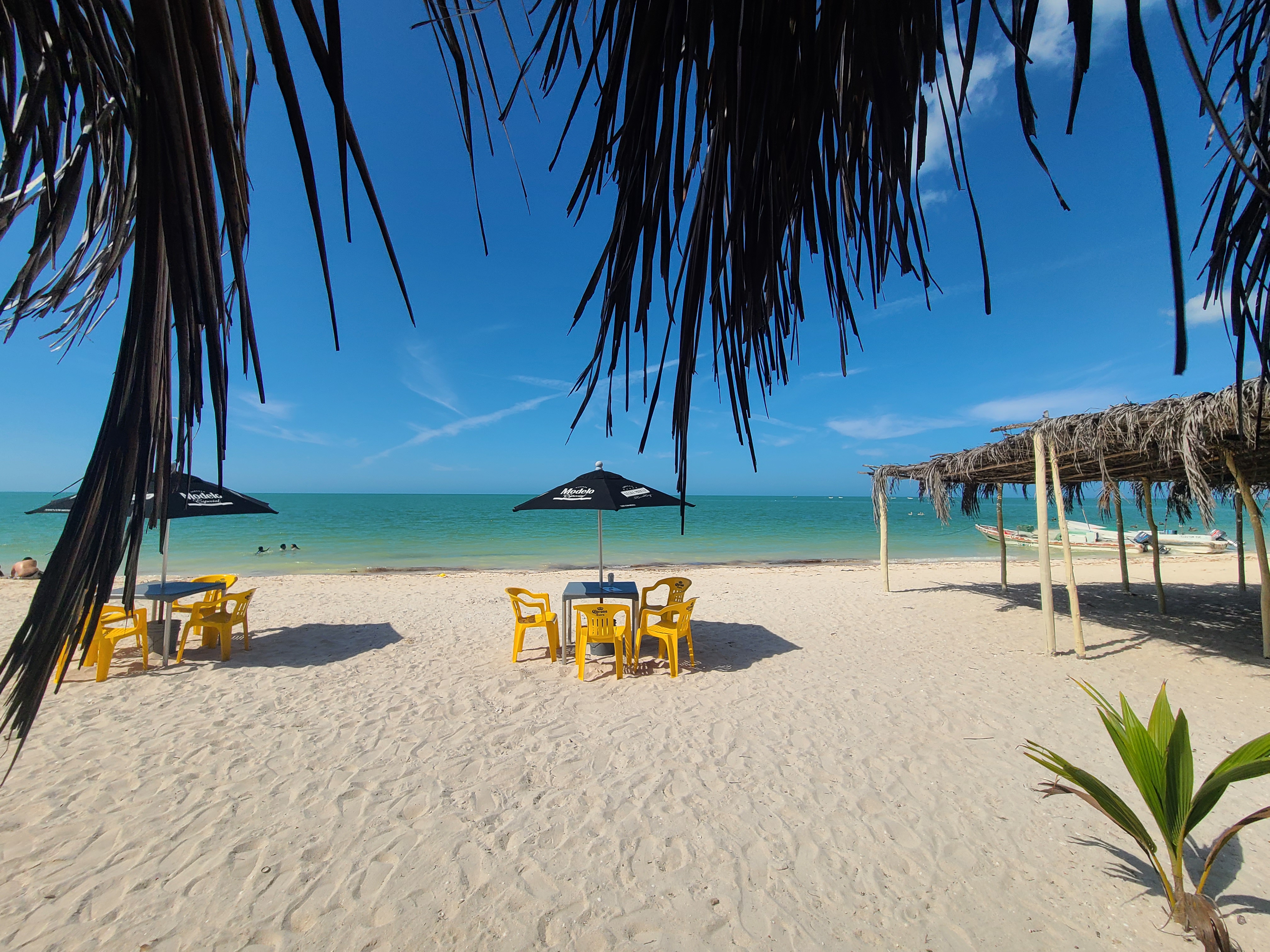 Restaurante Tortugas image 2