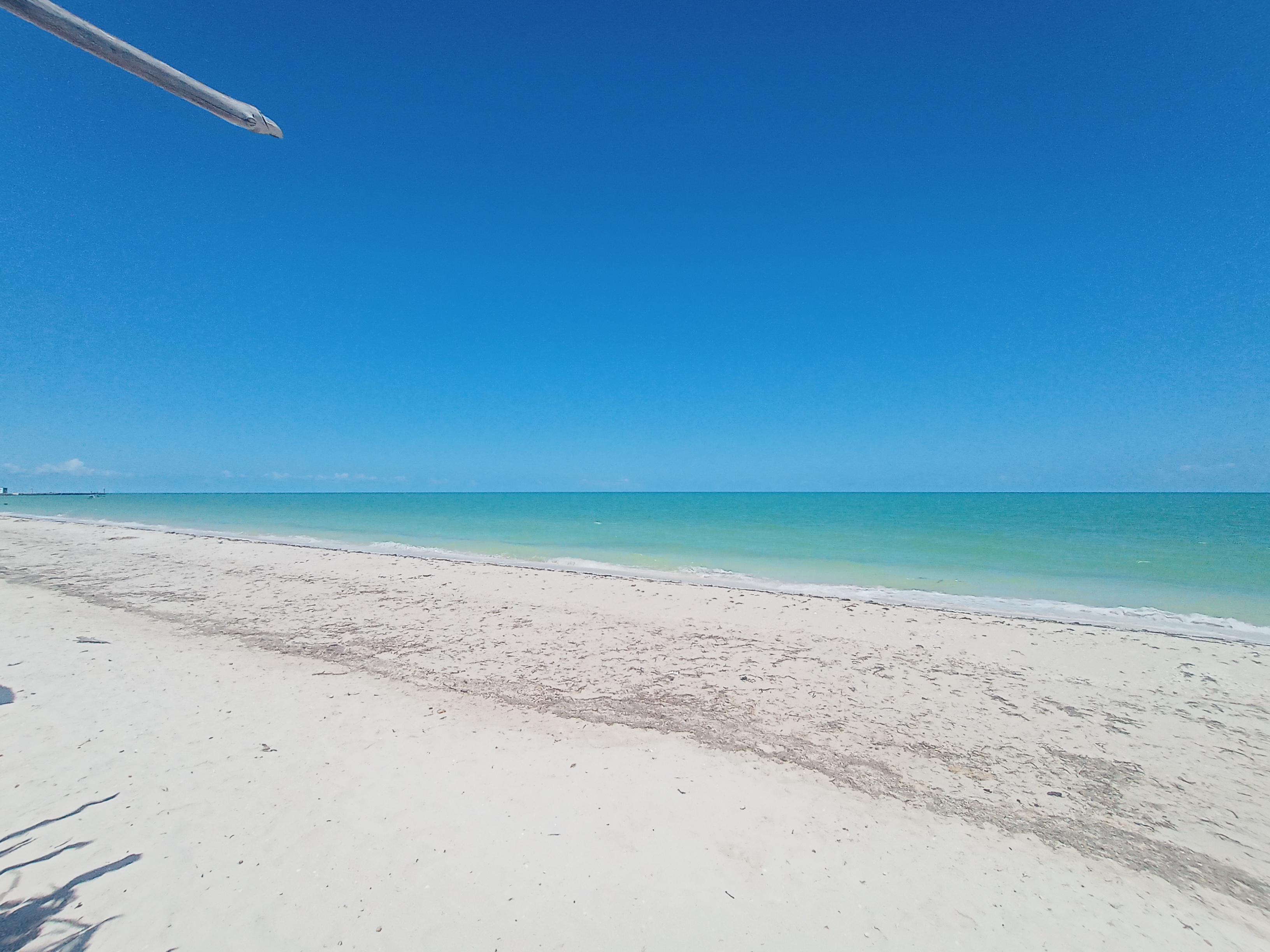 Restaurante Tortugas image 3