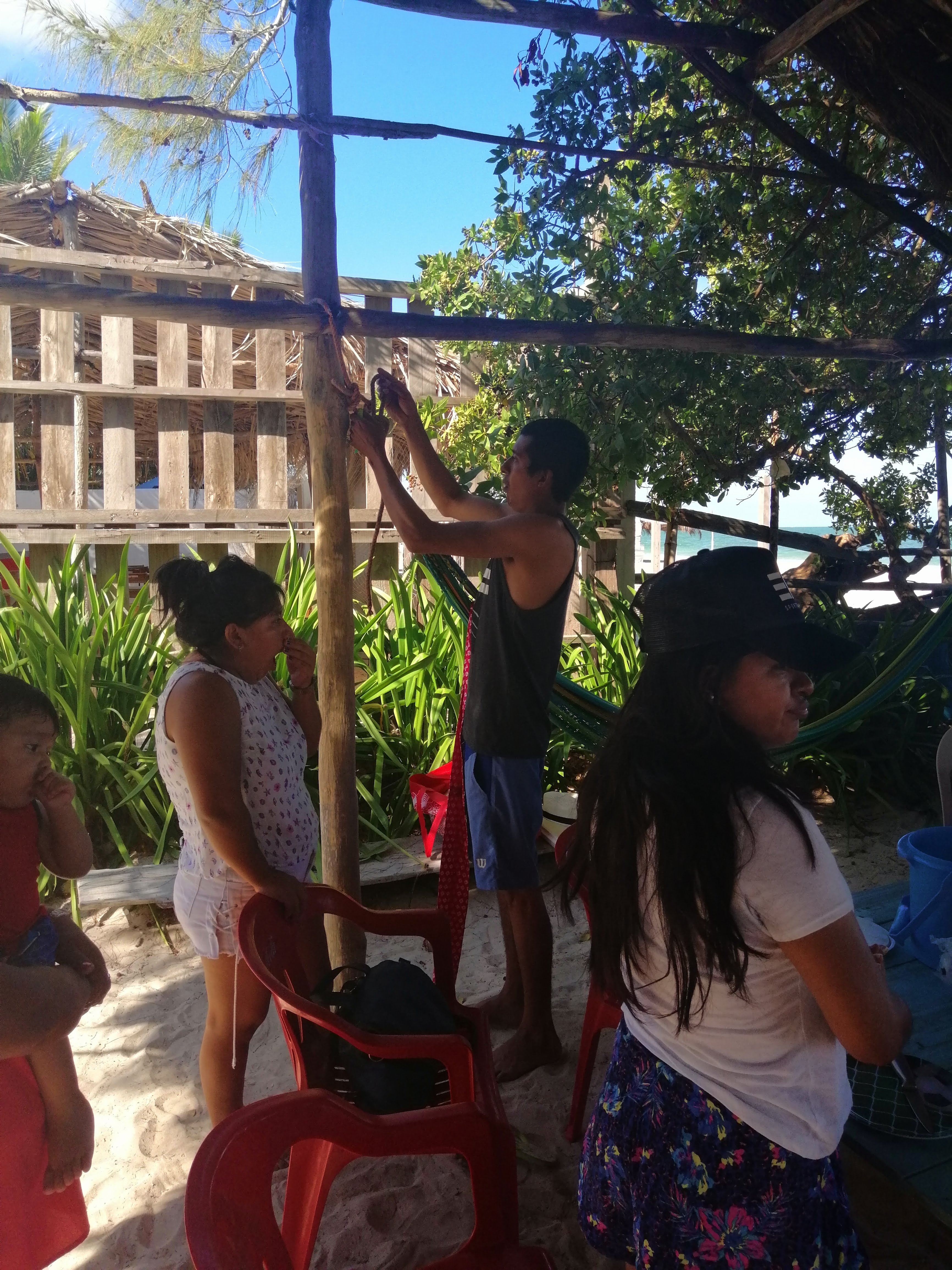 Restaurante Tortugas image 9