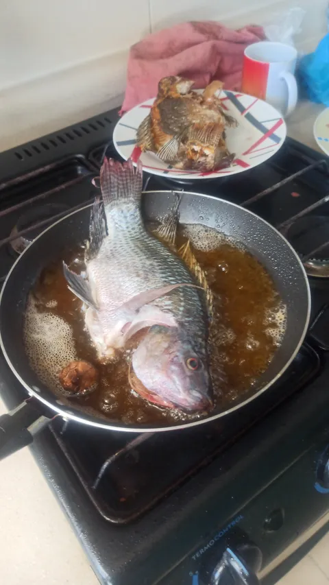 La Mojarra Feliz image 4