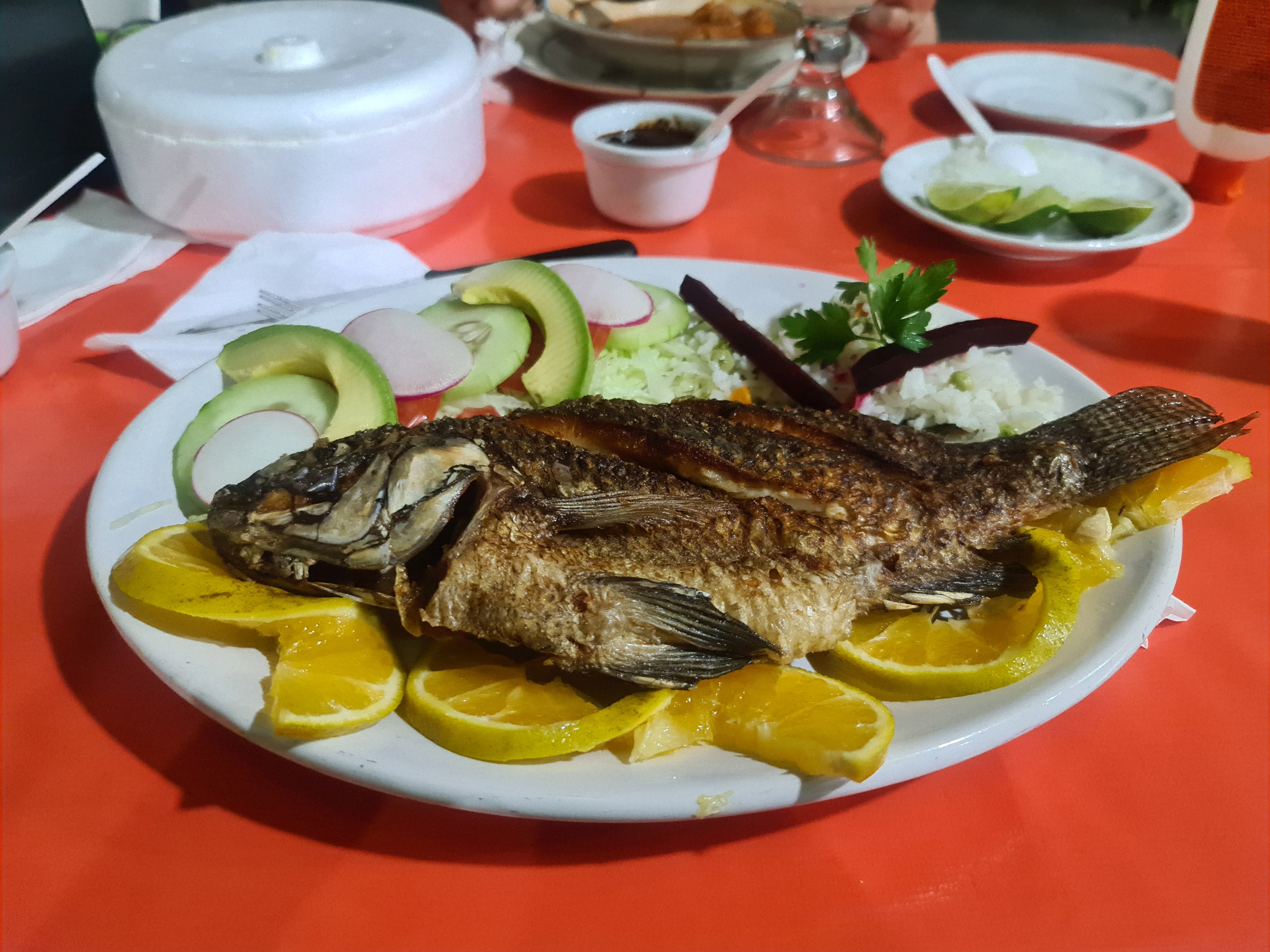 La Lomita Del Borrego image 3