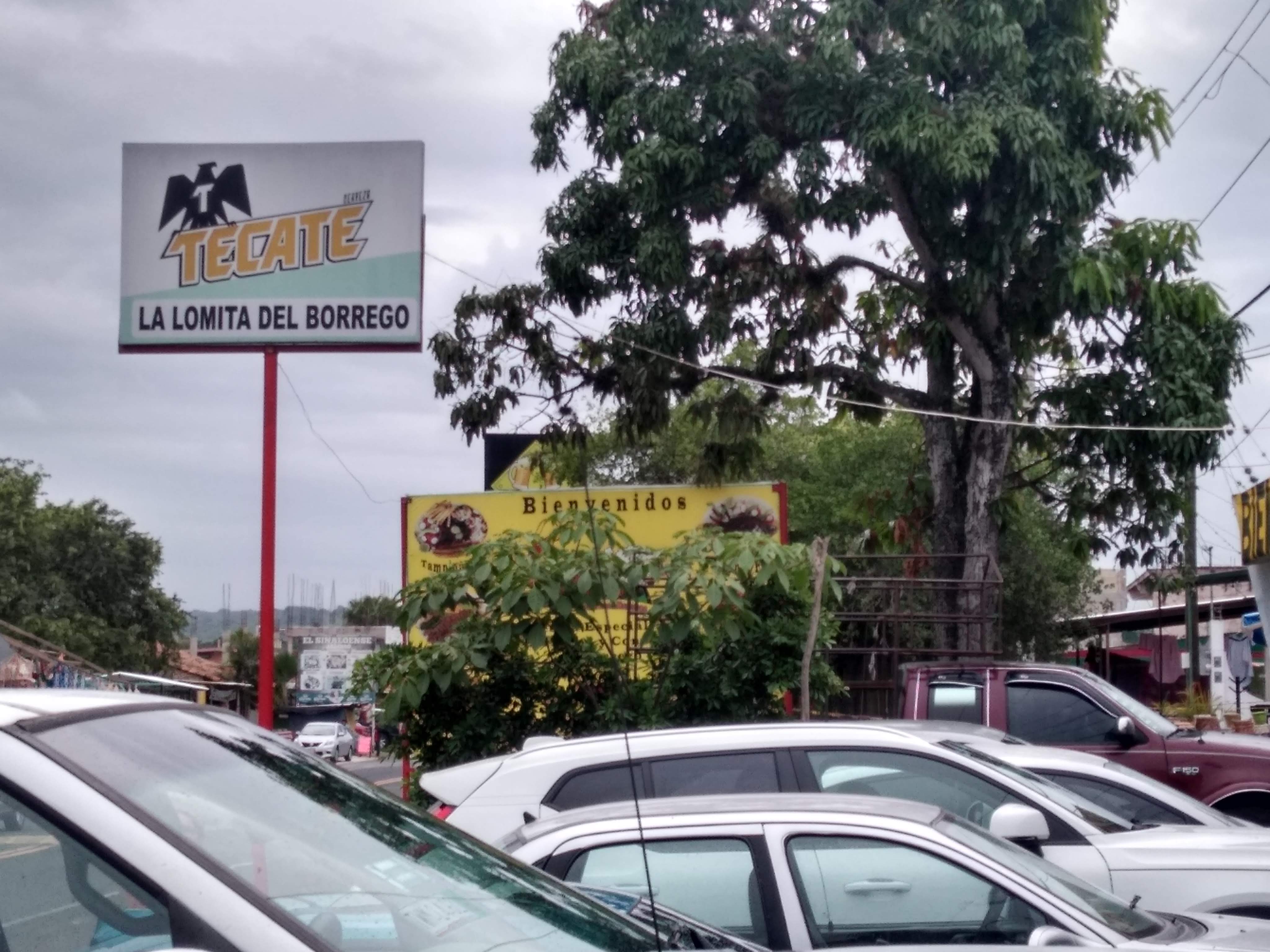 La Lomita Del Borrego image 9