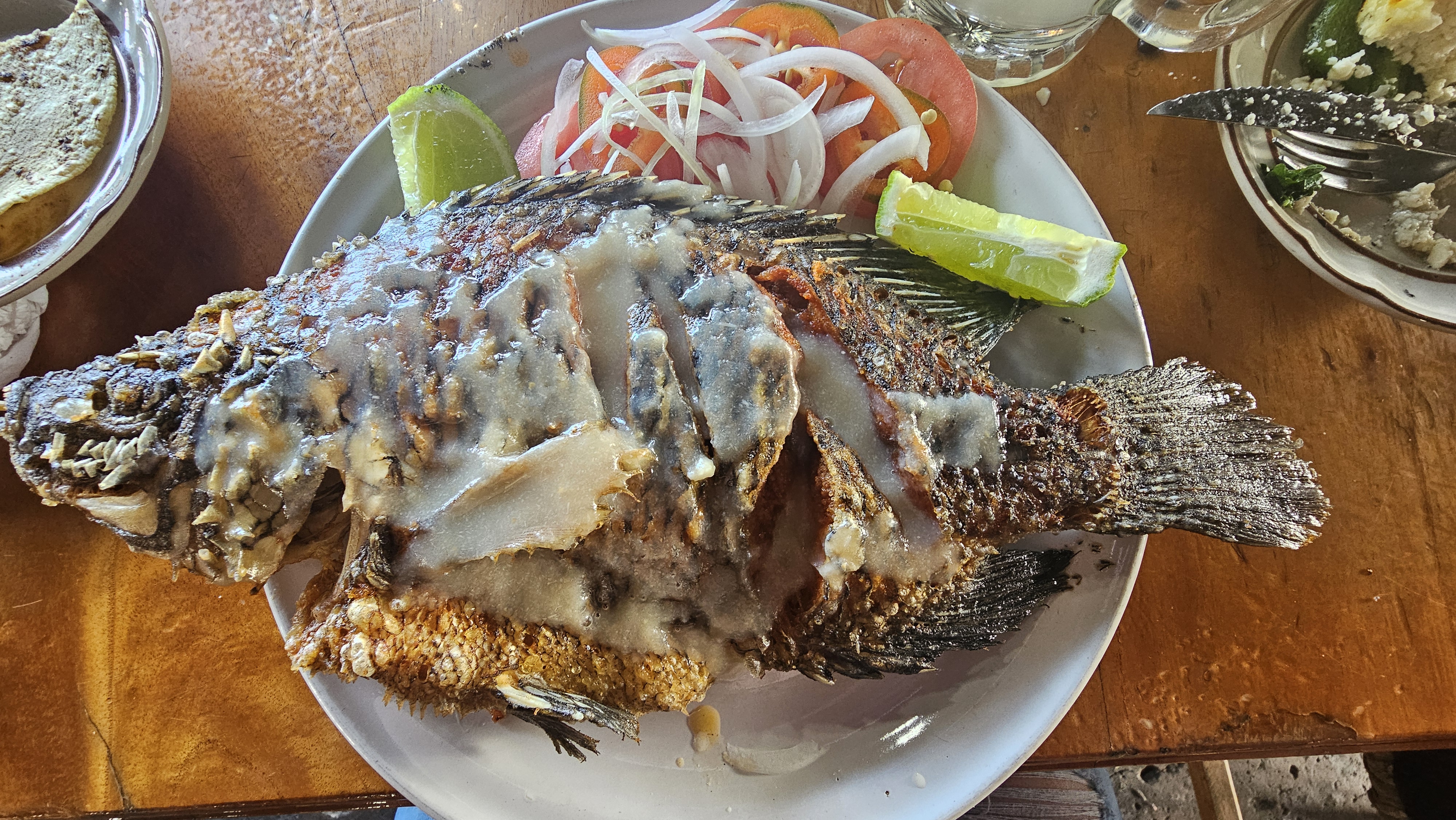 WichiVampiros Cerro Gordo image 2