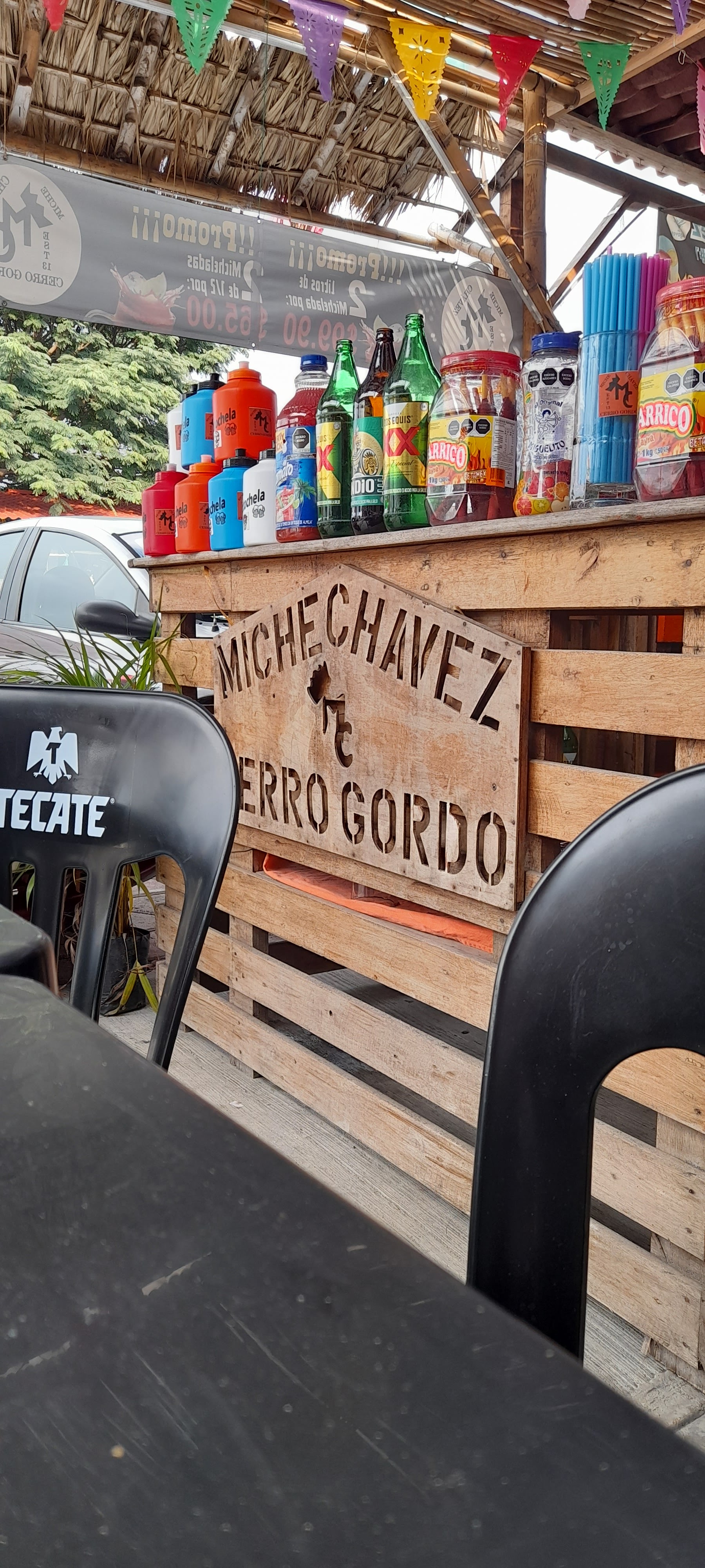 Miche Chavez image 5