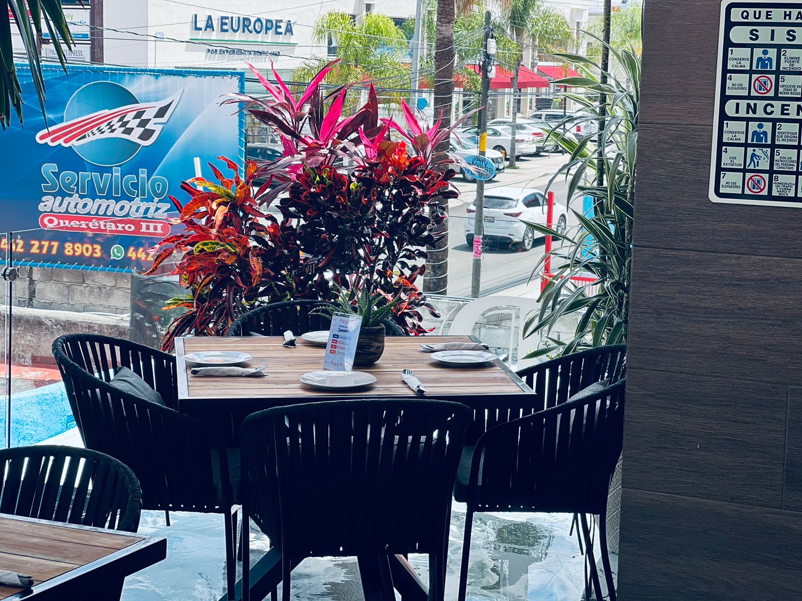 Doroteo Juriquilla image 1