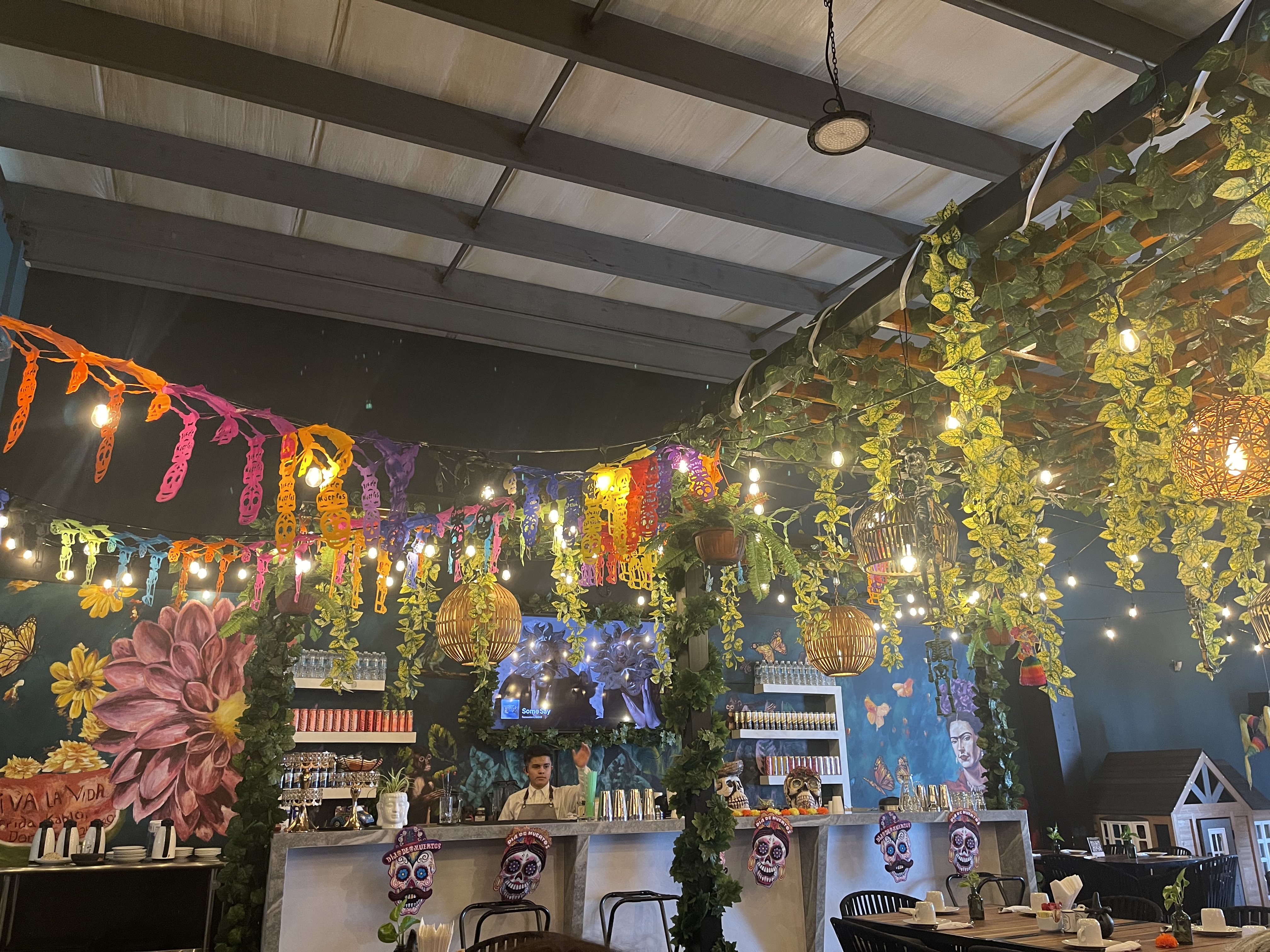 Doroteo Juriquilla image 4