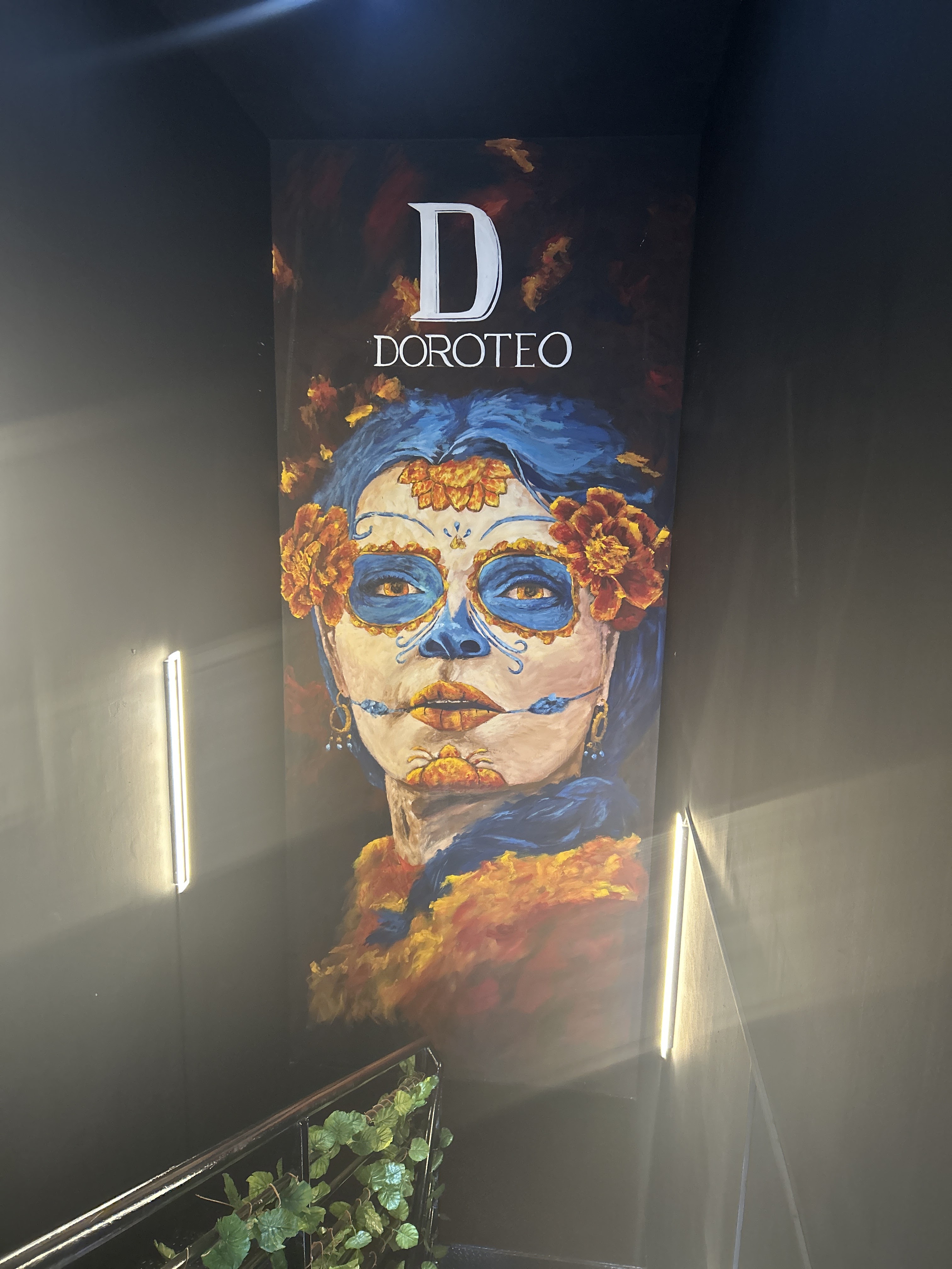 Doroteo Juriquilla image 5