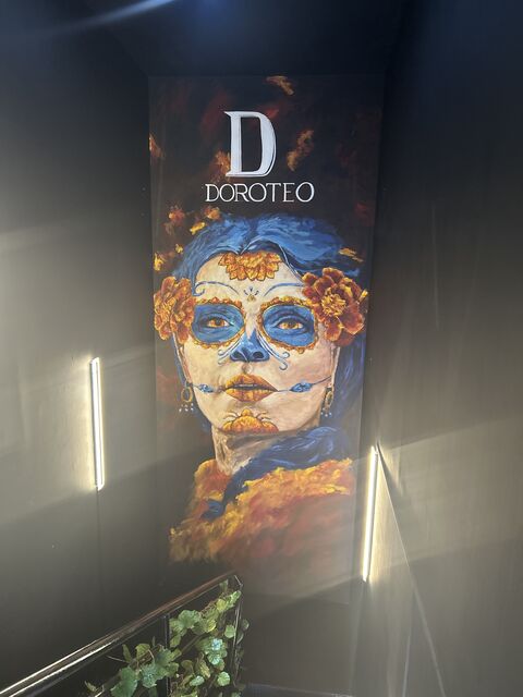 Doroteo Juriquilla image 5