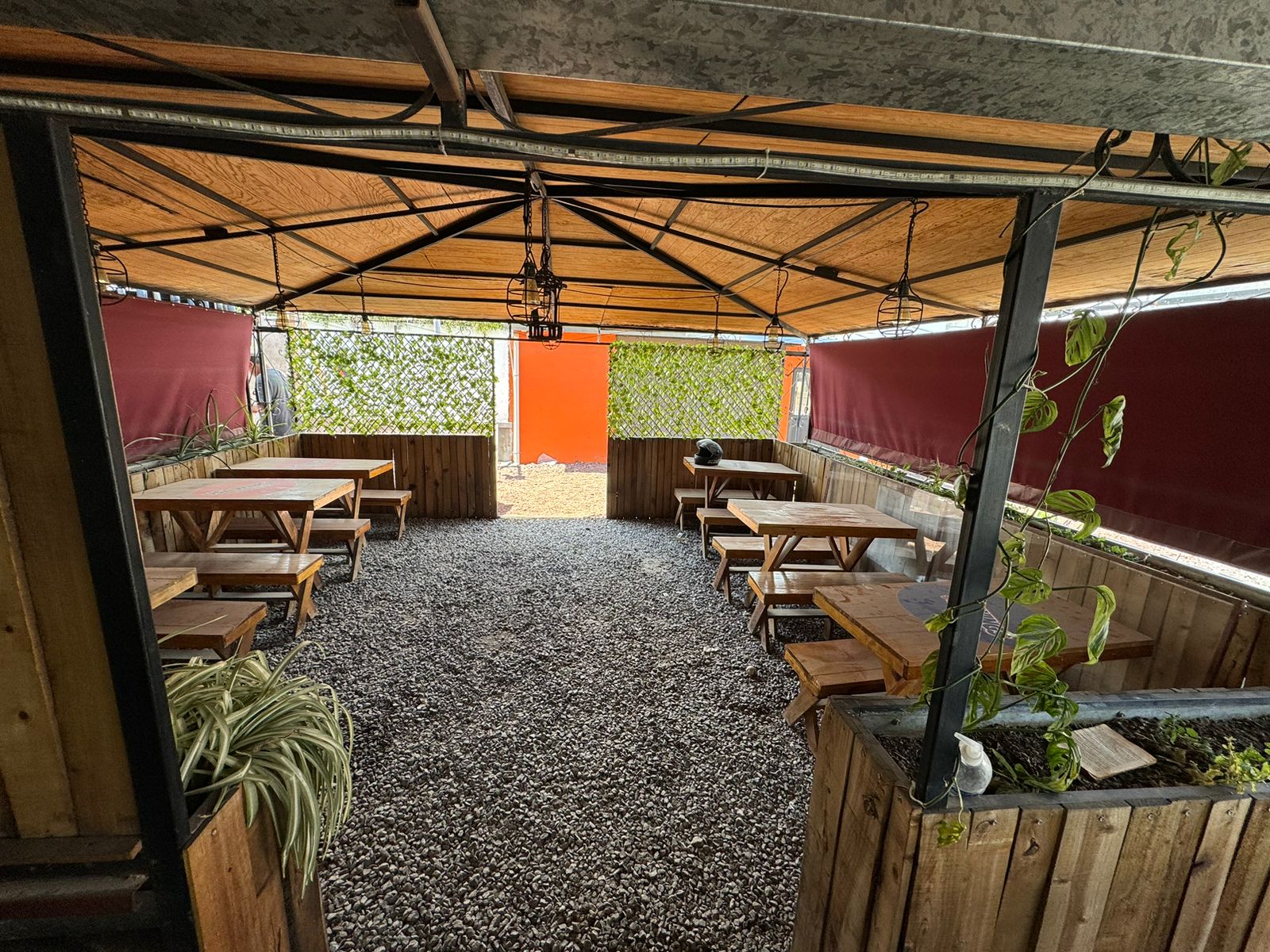 Luz y Sal Restaurant, Food & Drinks image 10