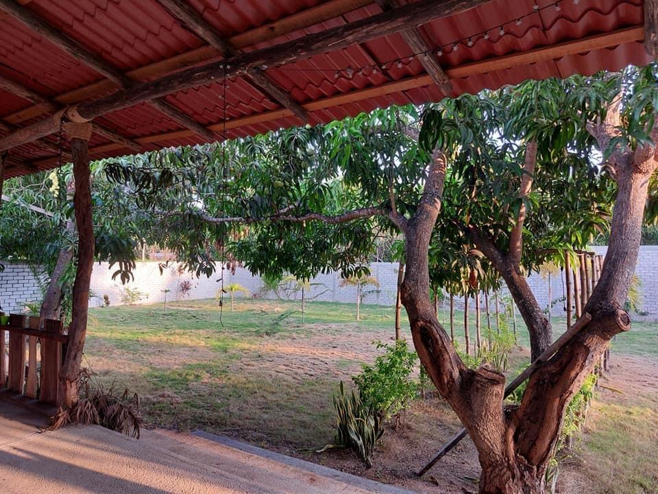 Restaurante Palma Azul image 3