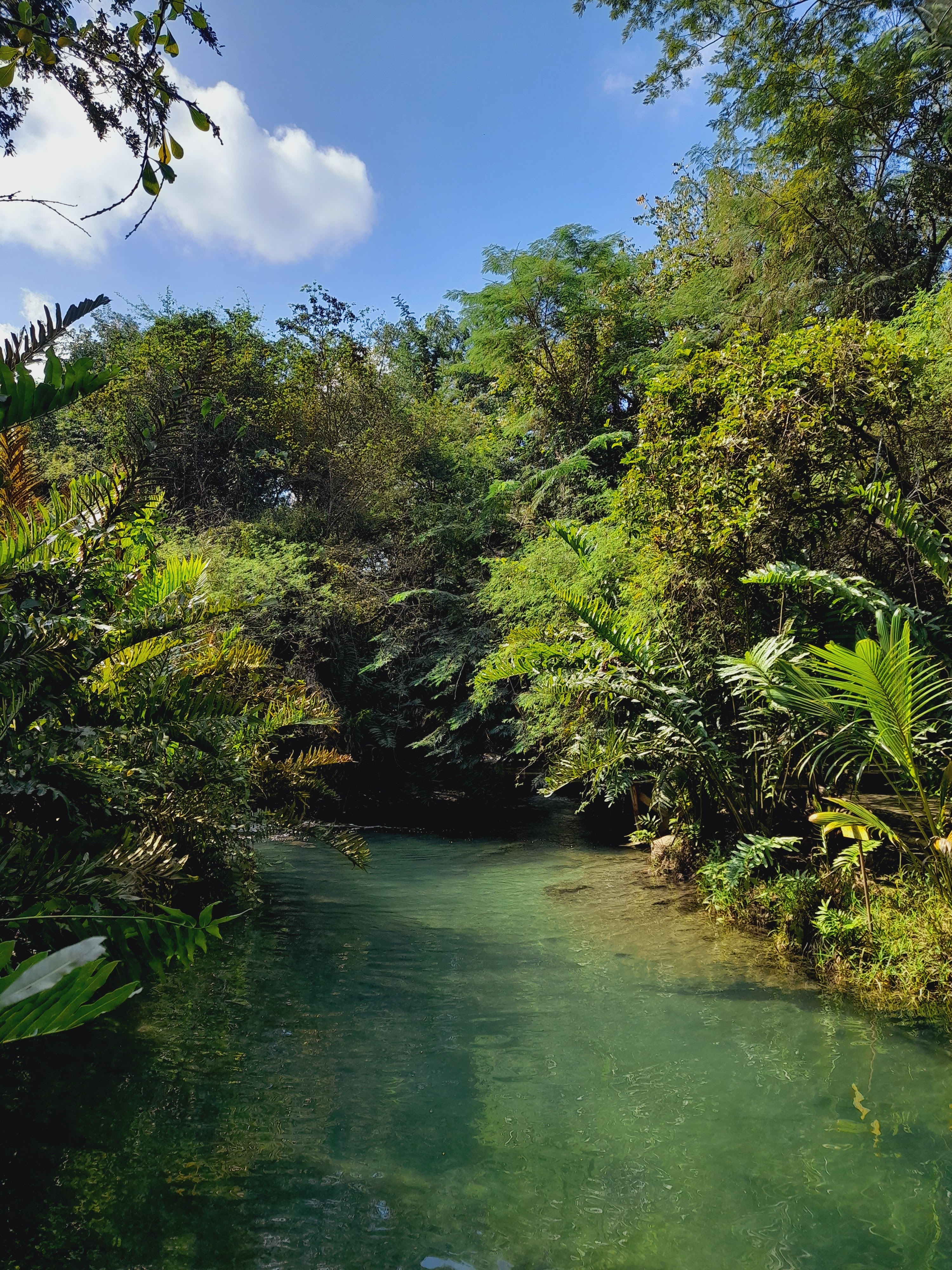 Rancho La Escondida image 4
