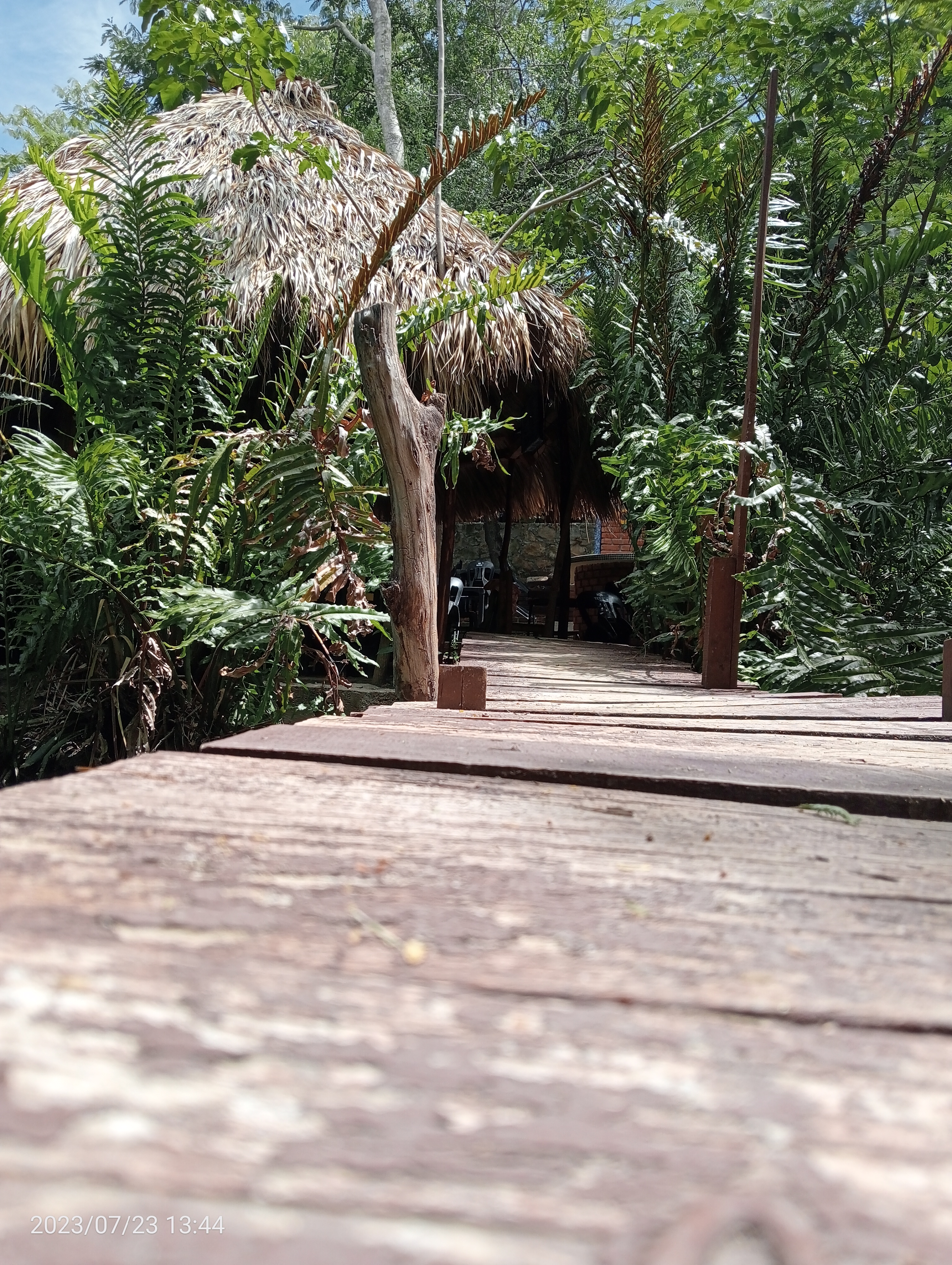 Rancho La Escondida image 5