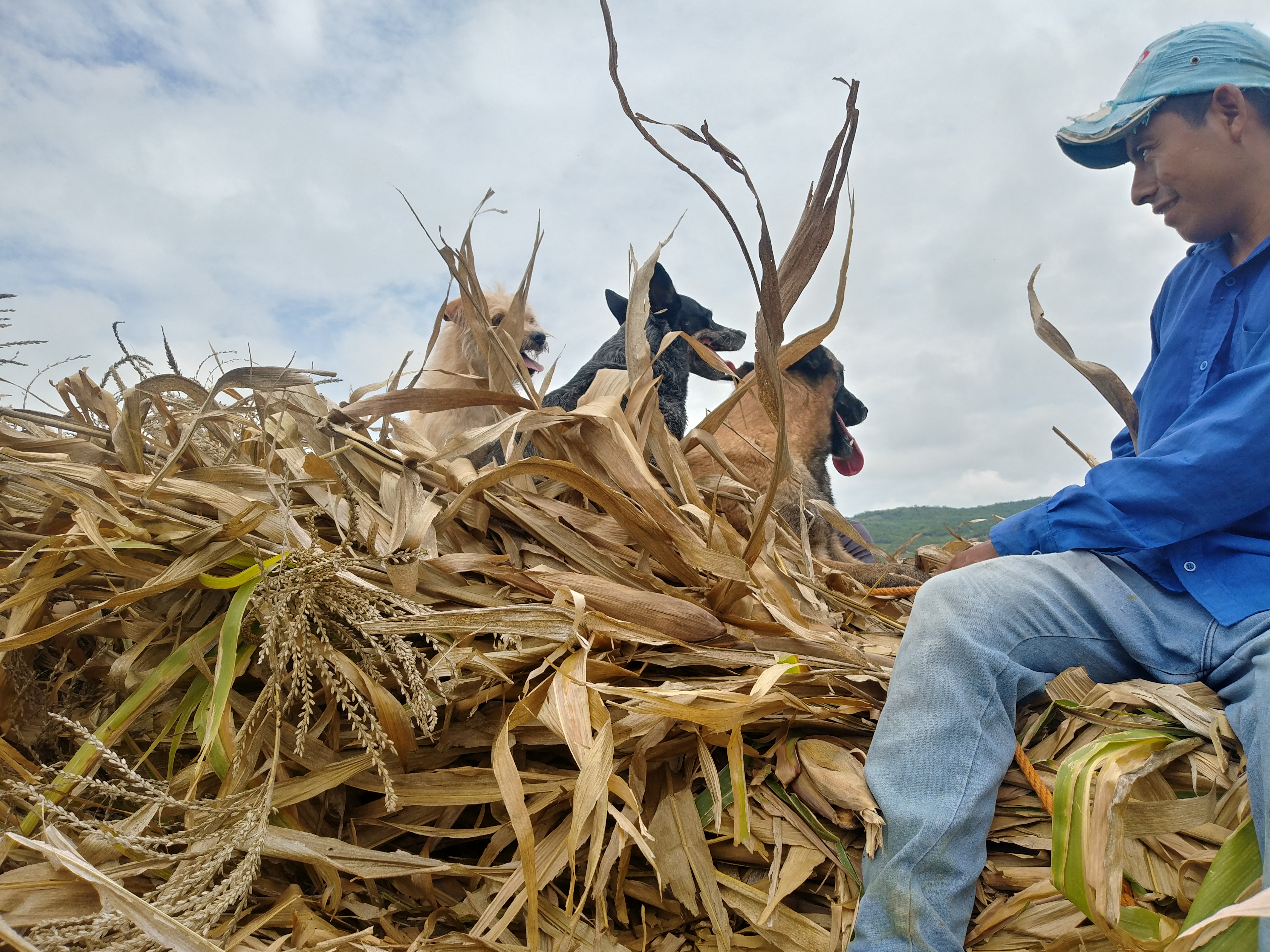 Divertido San Sebastián image 10