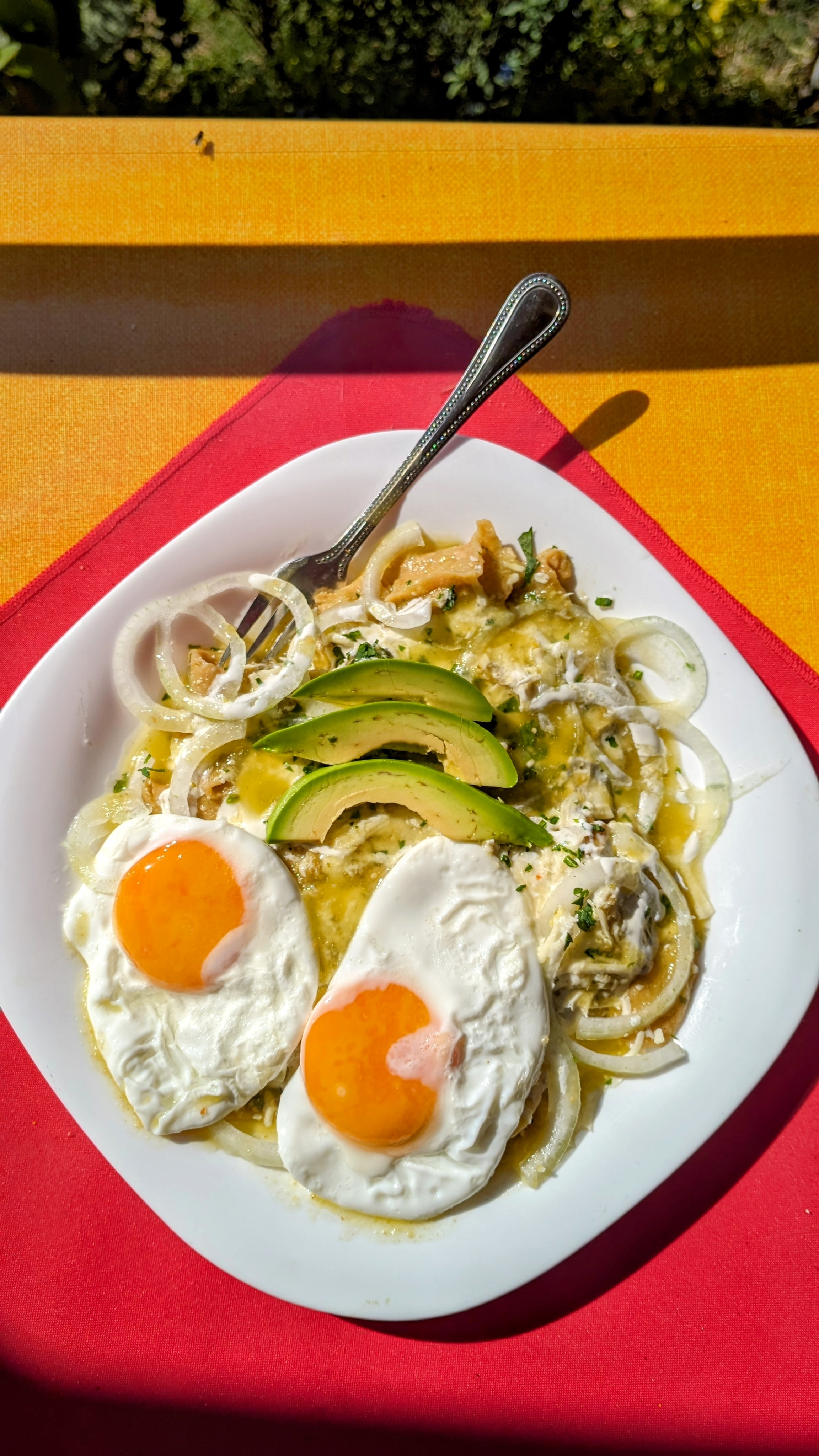 Fonda LAS ELENITAS image 2