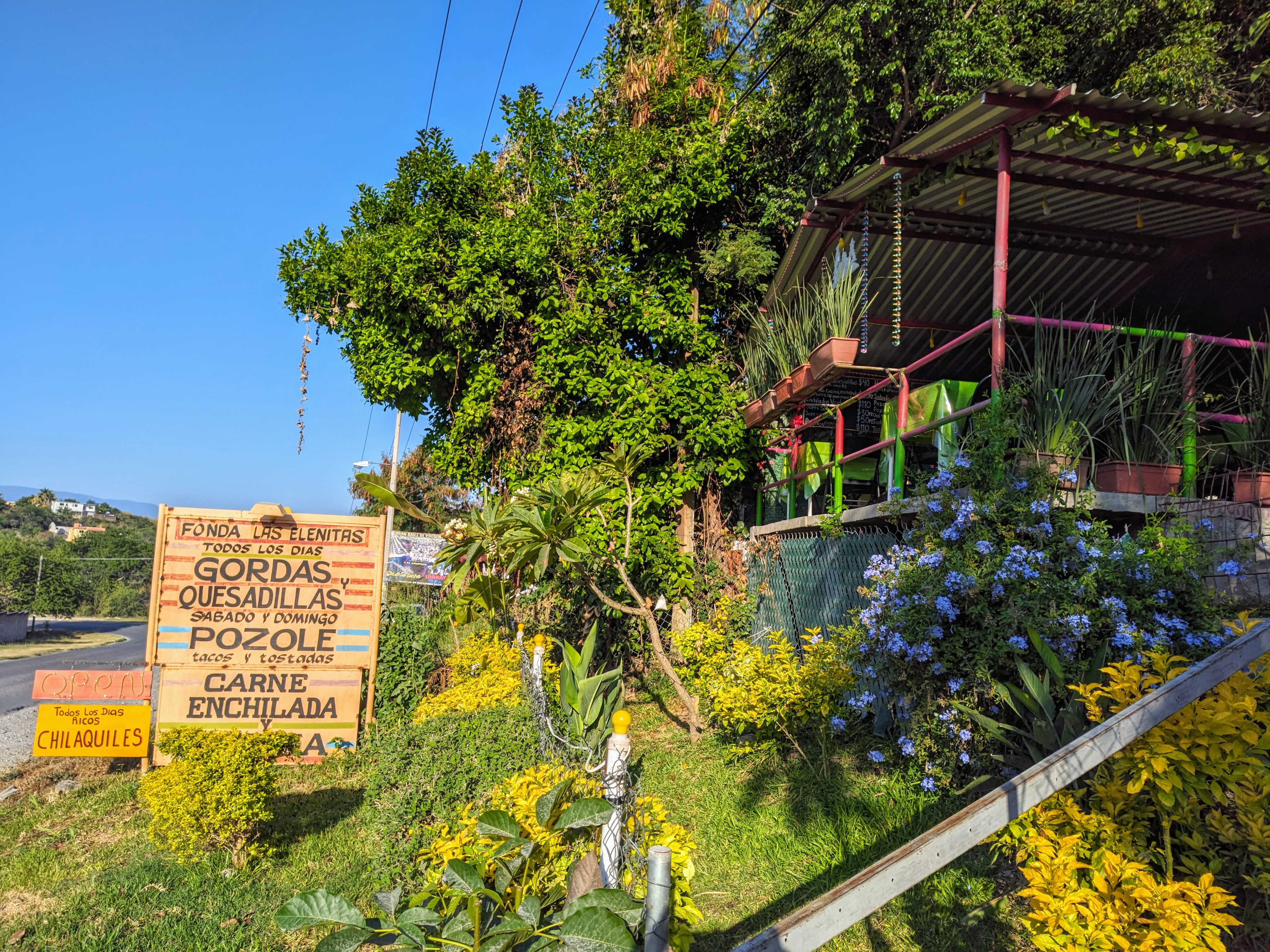 Fonda LAS ELENITAS image 6