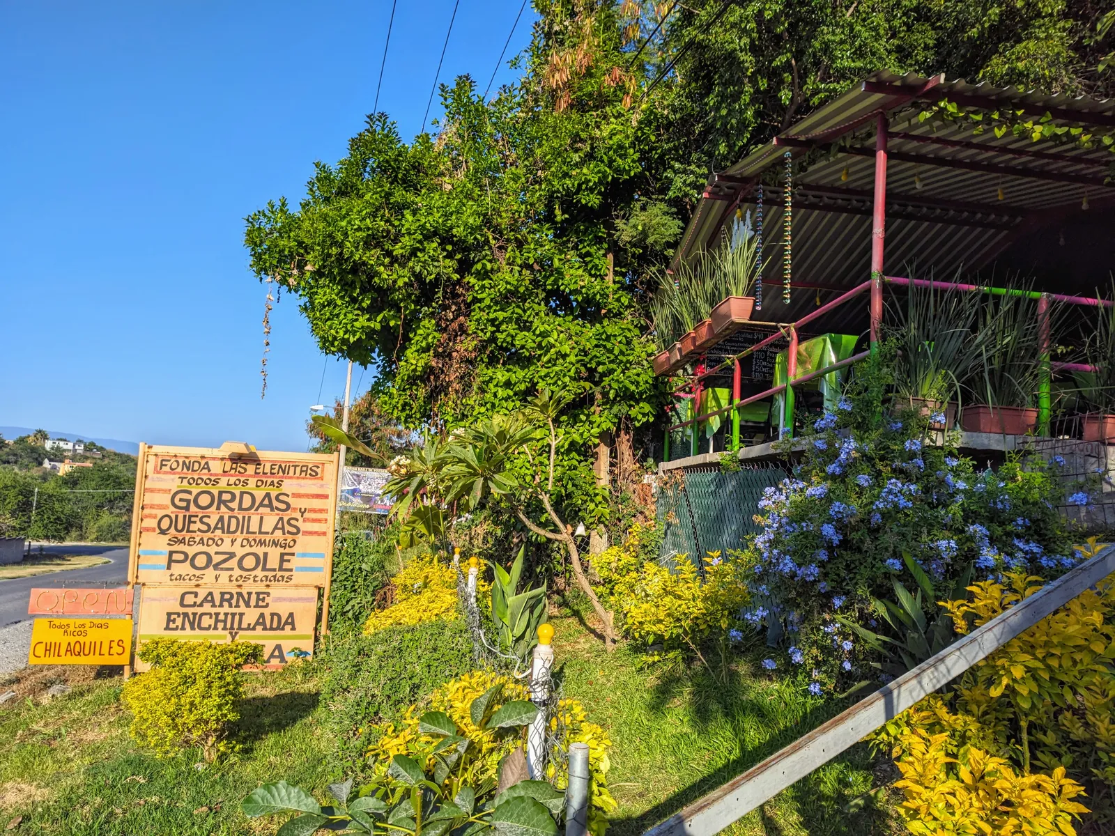 Fonda LAS ELENITAS image 6