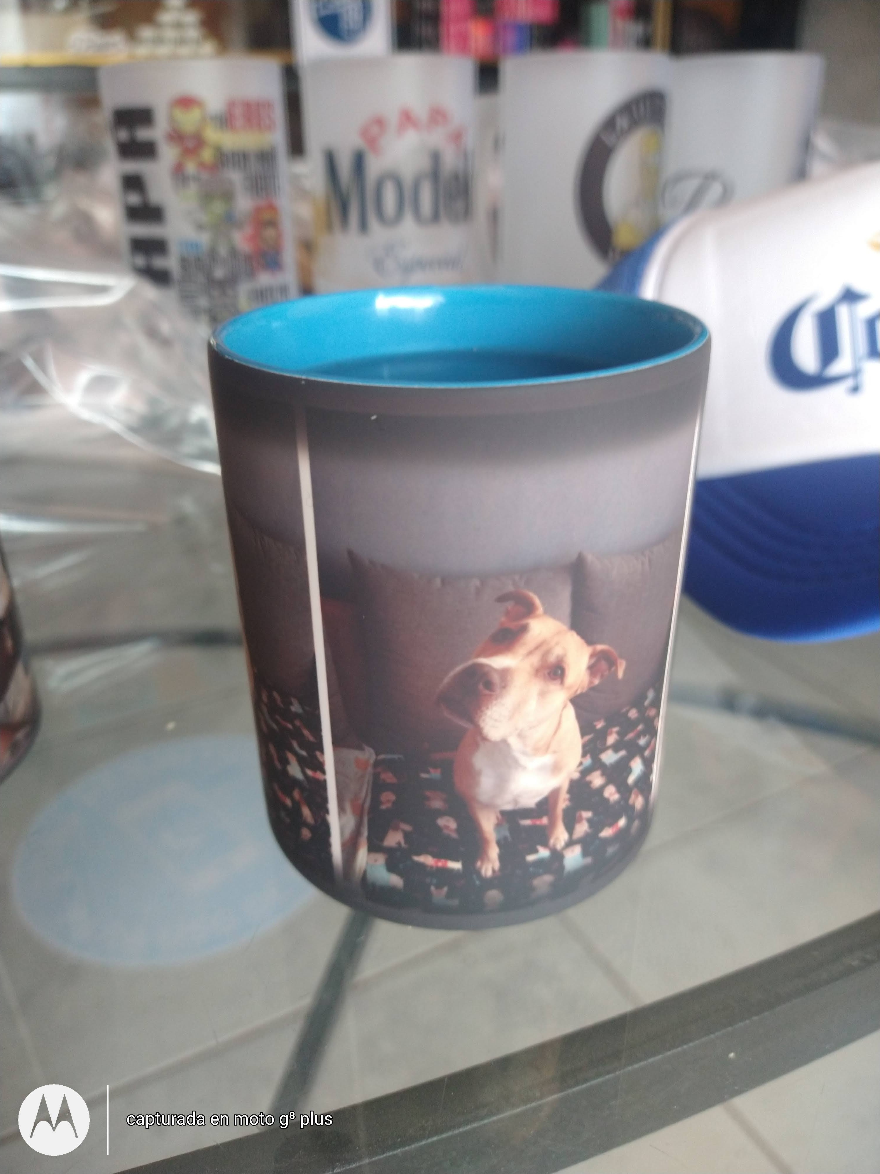 Pizzeria urban shop image 5