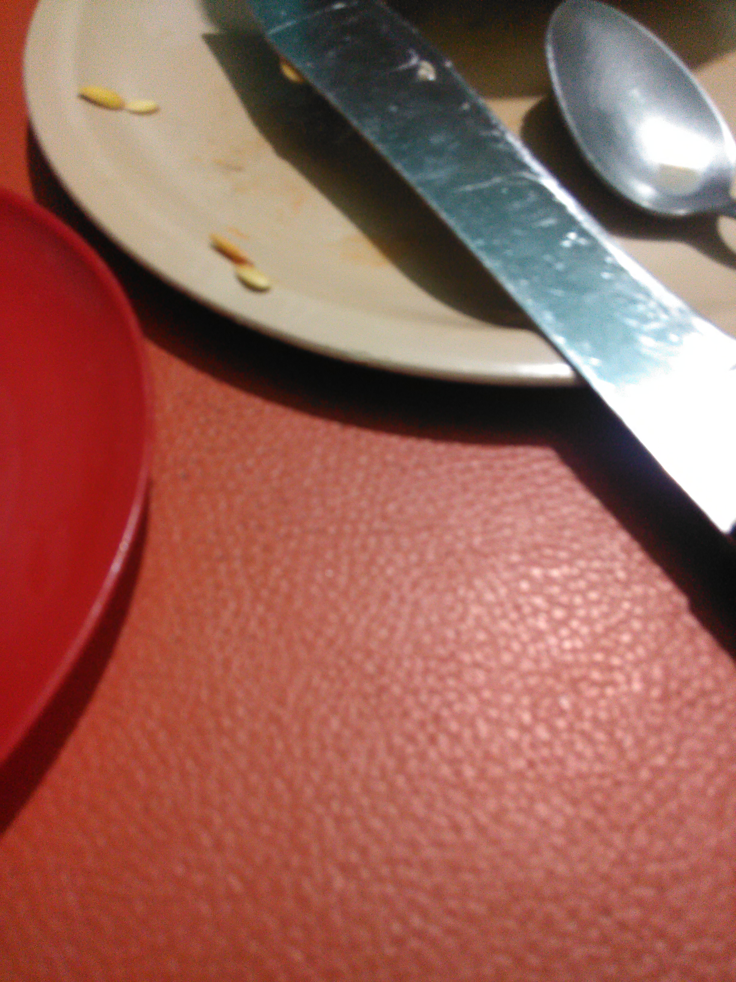 La Llamarada image 7