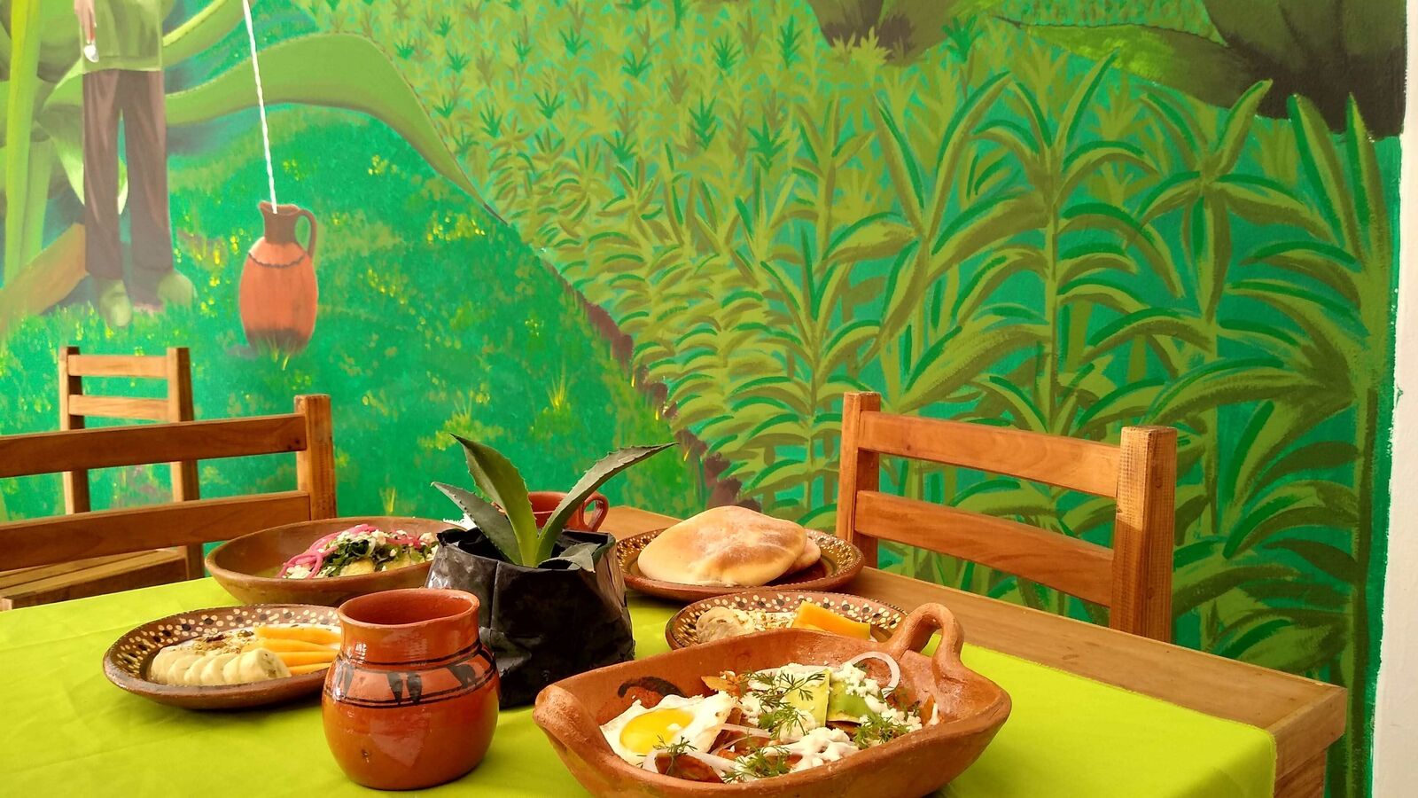 Xoletongo el sabor del agave image 3