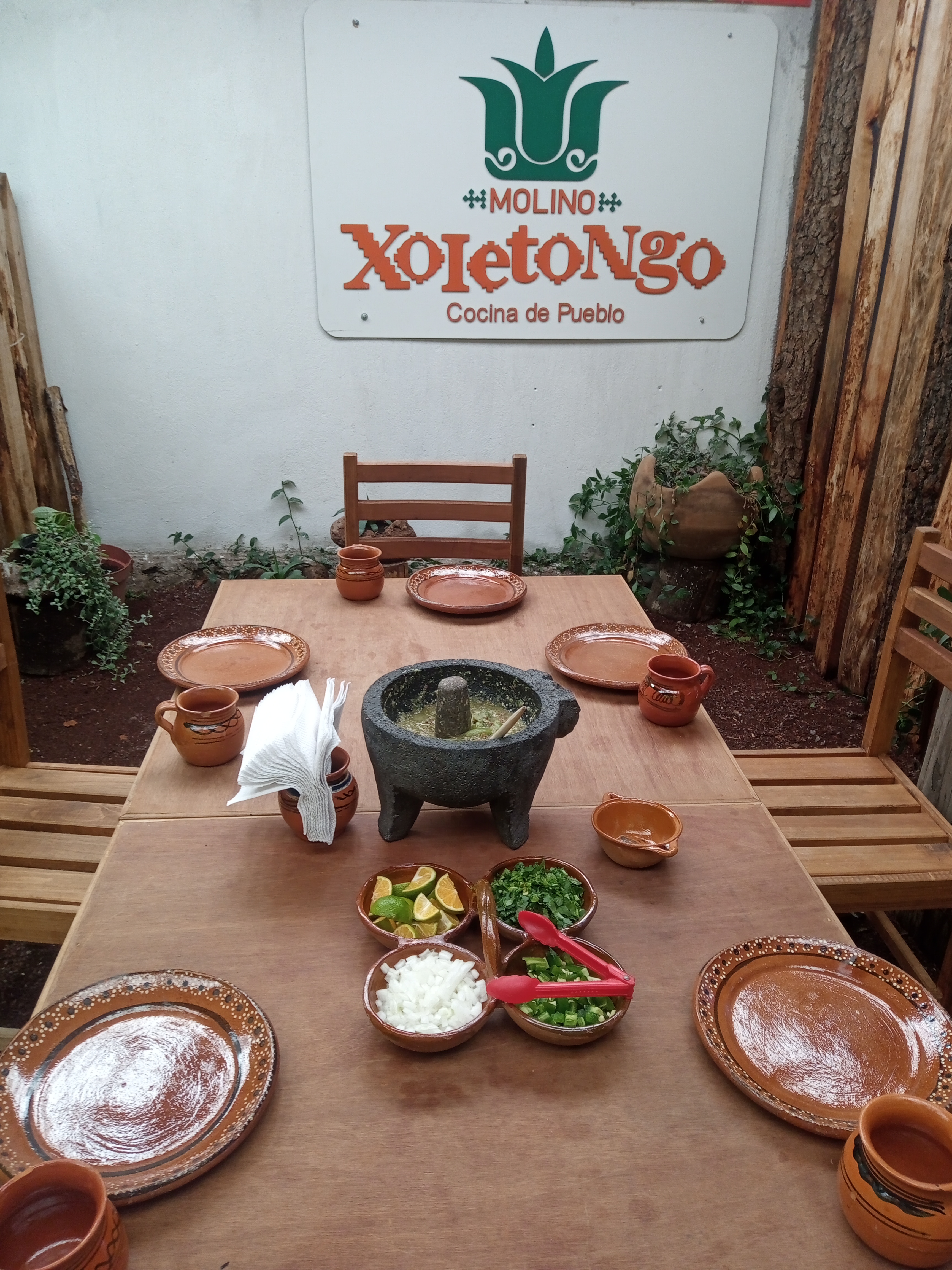 Xoletongo el sabor del agave image 5