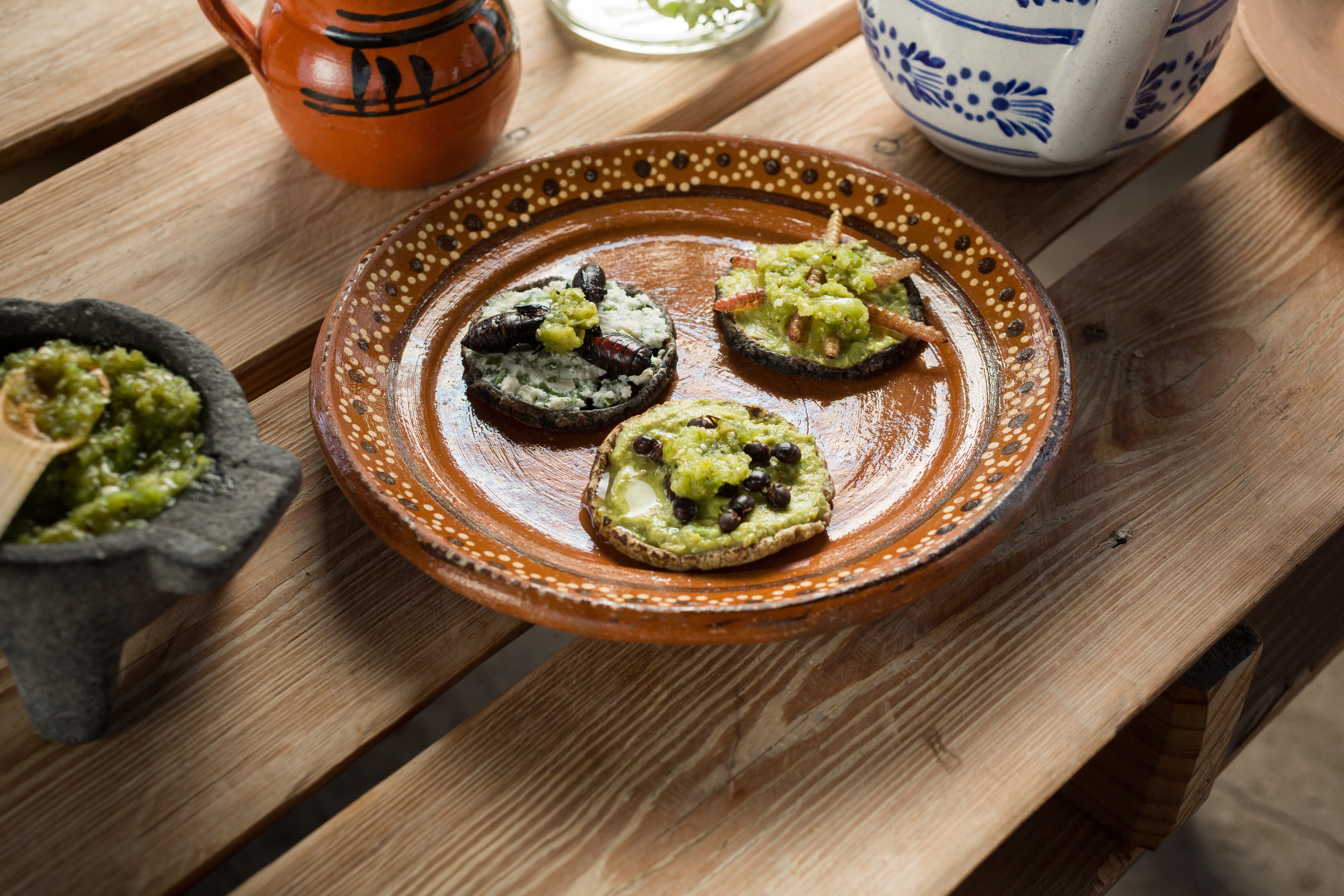 Xoletongo el sabor del agave image 7