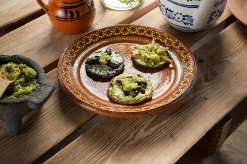 Xoletongo el sabor del agave image 7