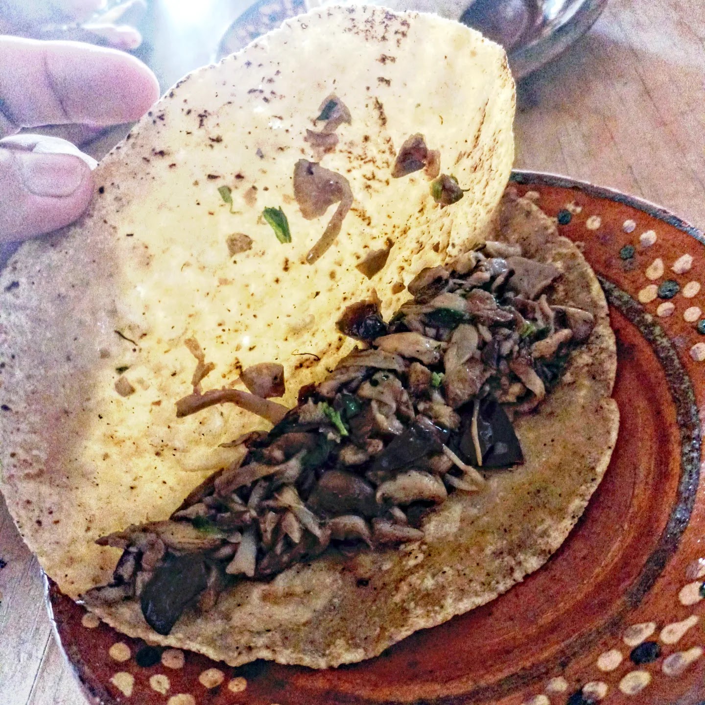 Parador San Felipe Luciernagas image 7