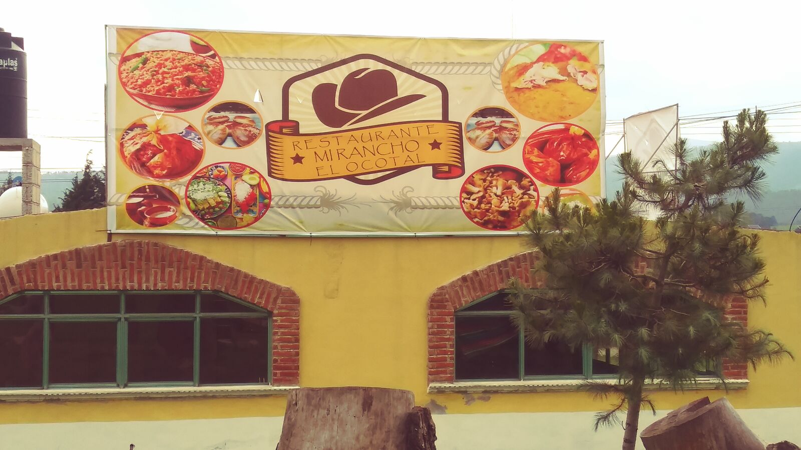RESTAURANTE MI RANCHITO EL OCOTAL image 4
