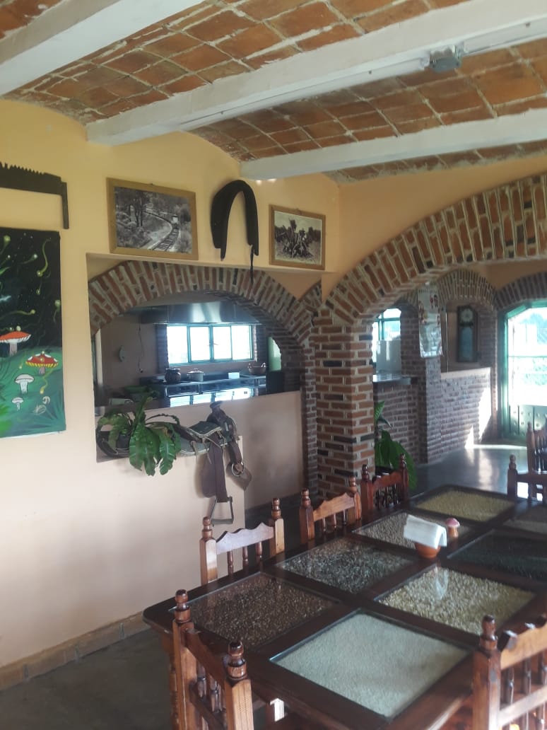 RESTAURANTE MI RANCHITO EL OCOTAL image 6