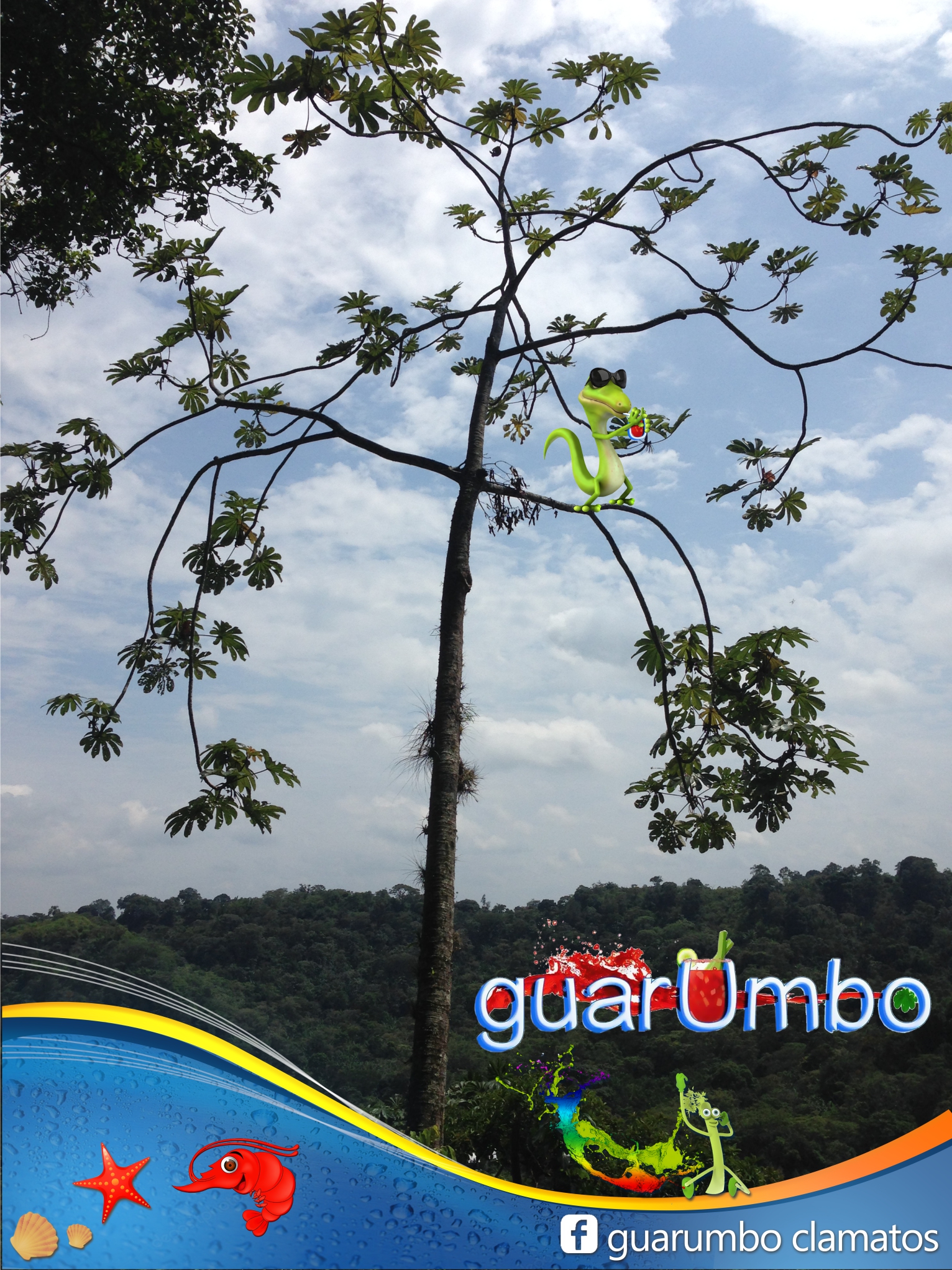 GUARUMBO CLAMATOS image 7